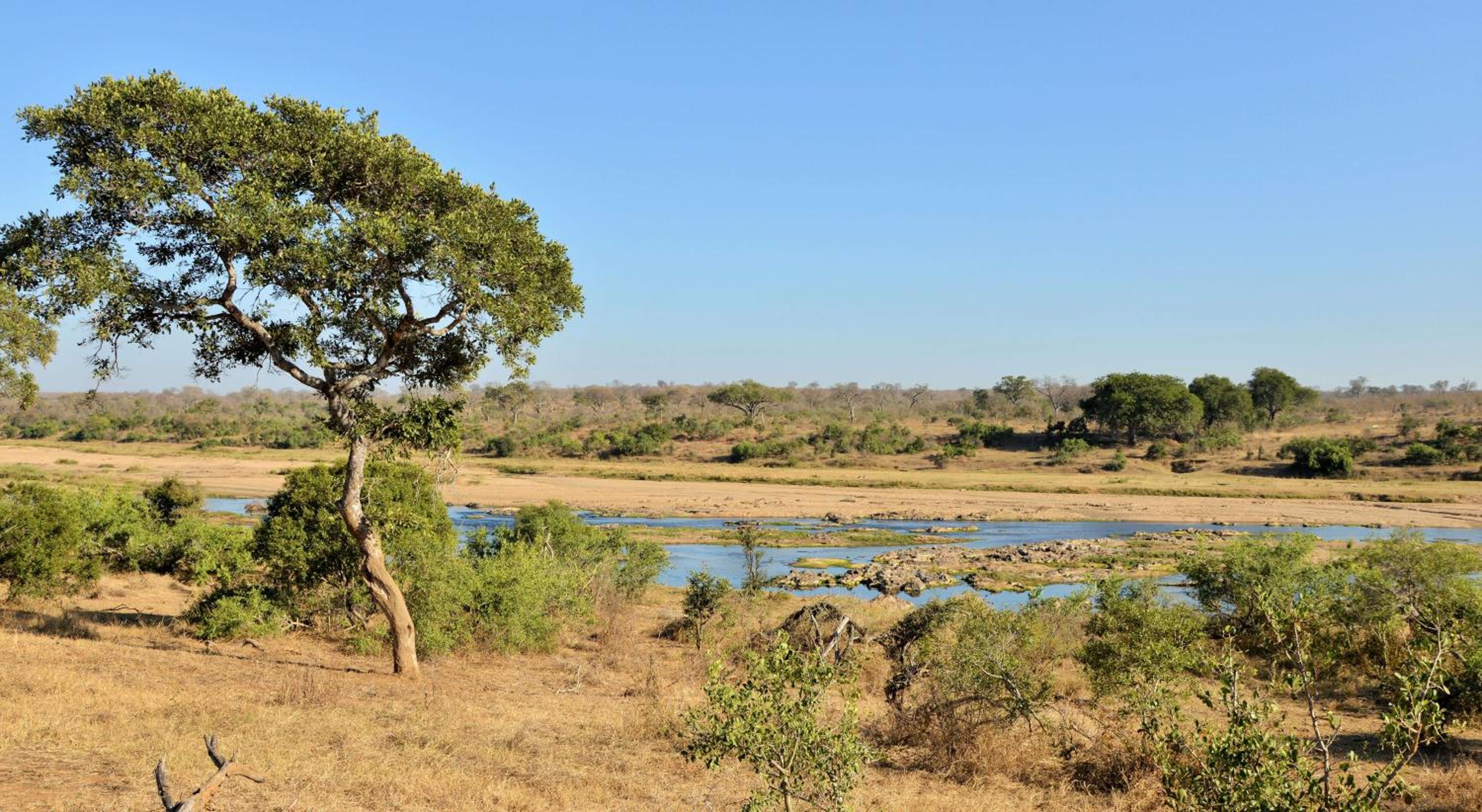 Mjejane River Lodge
