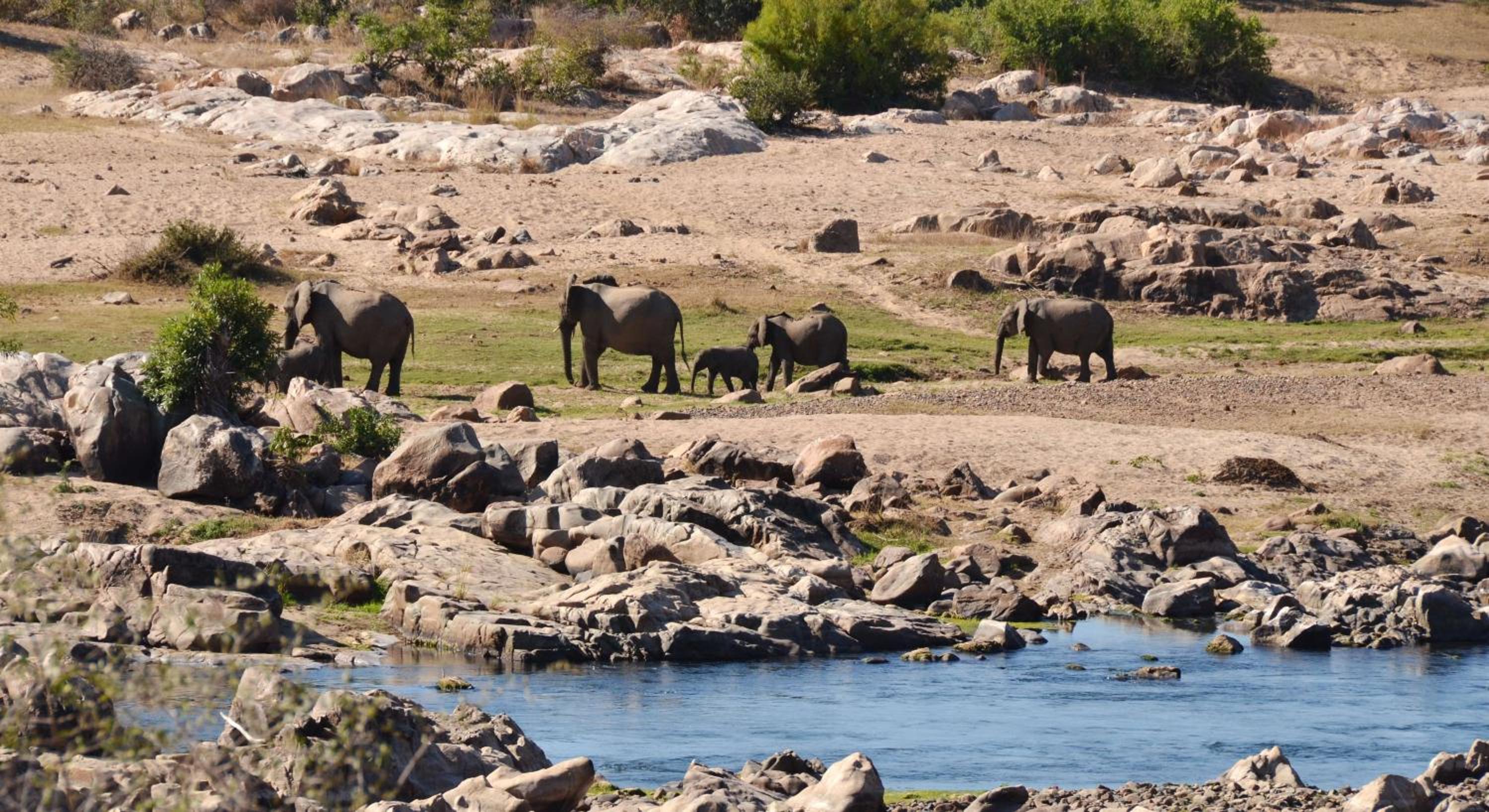Mjejane River Lodge