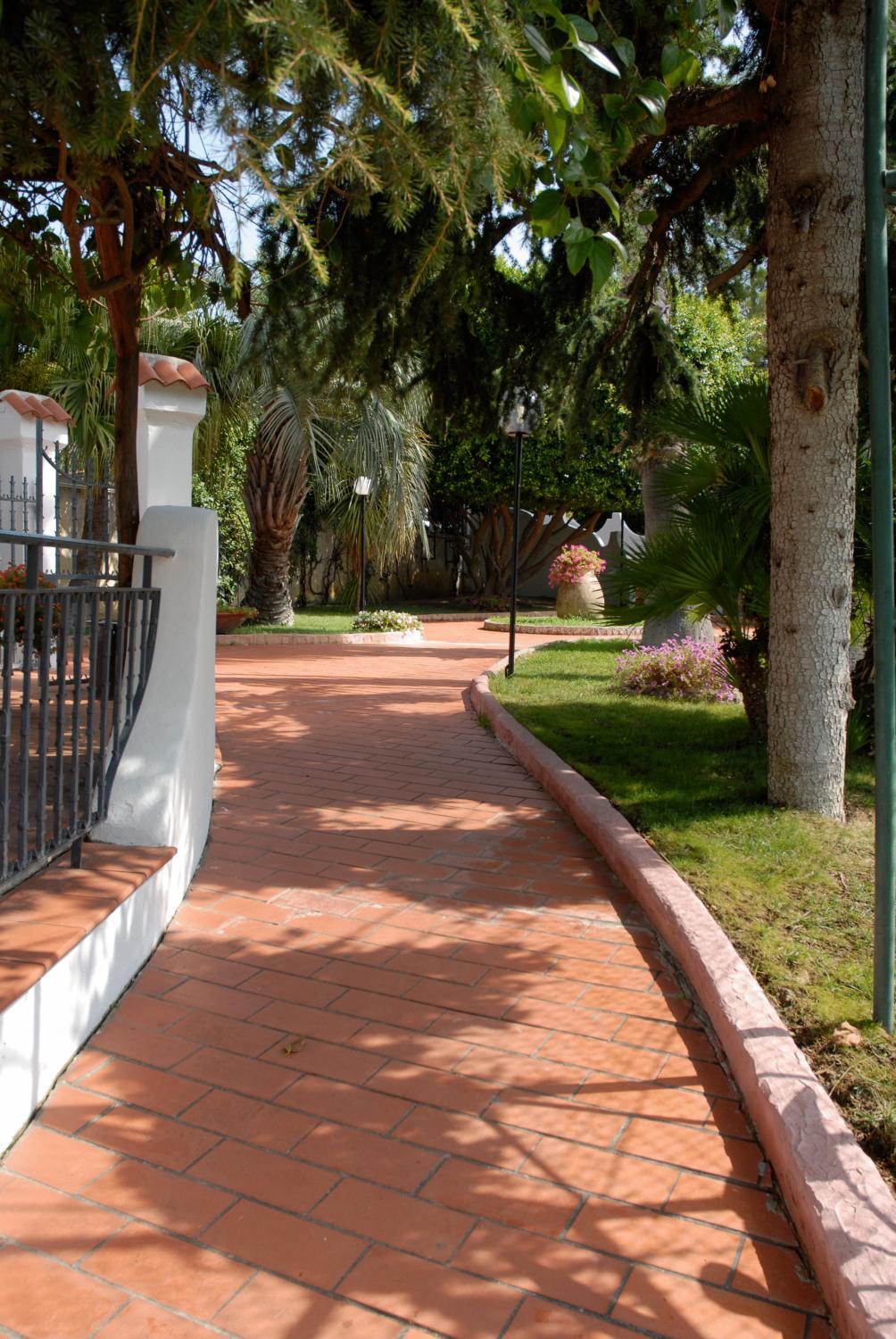 Photo 27