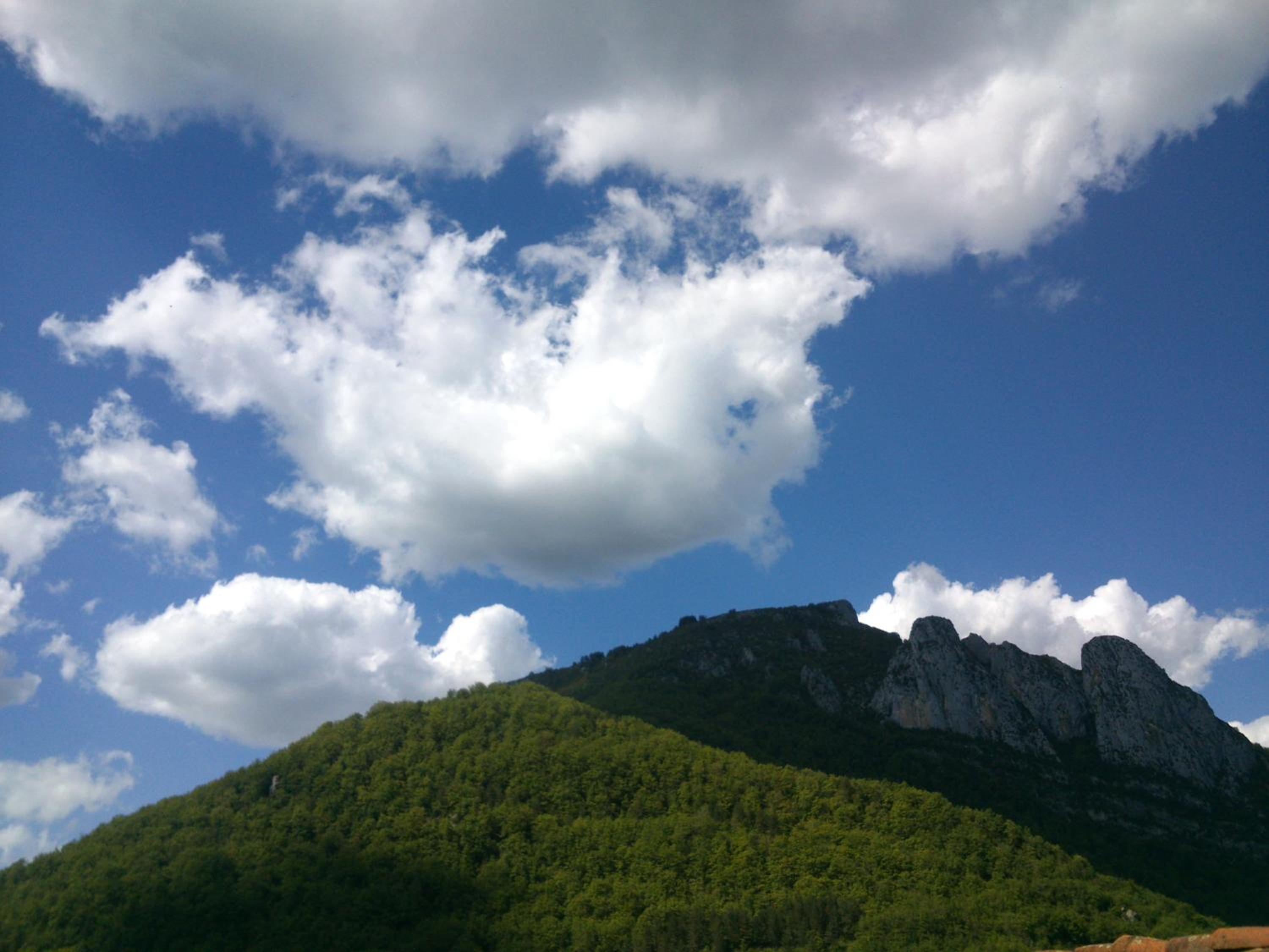 Photo 49