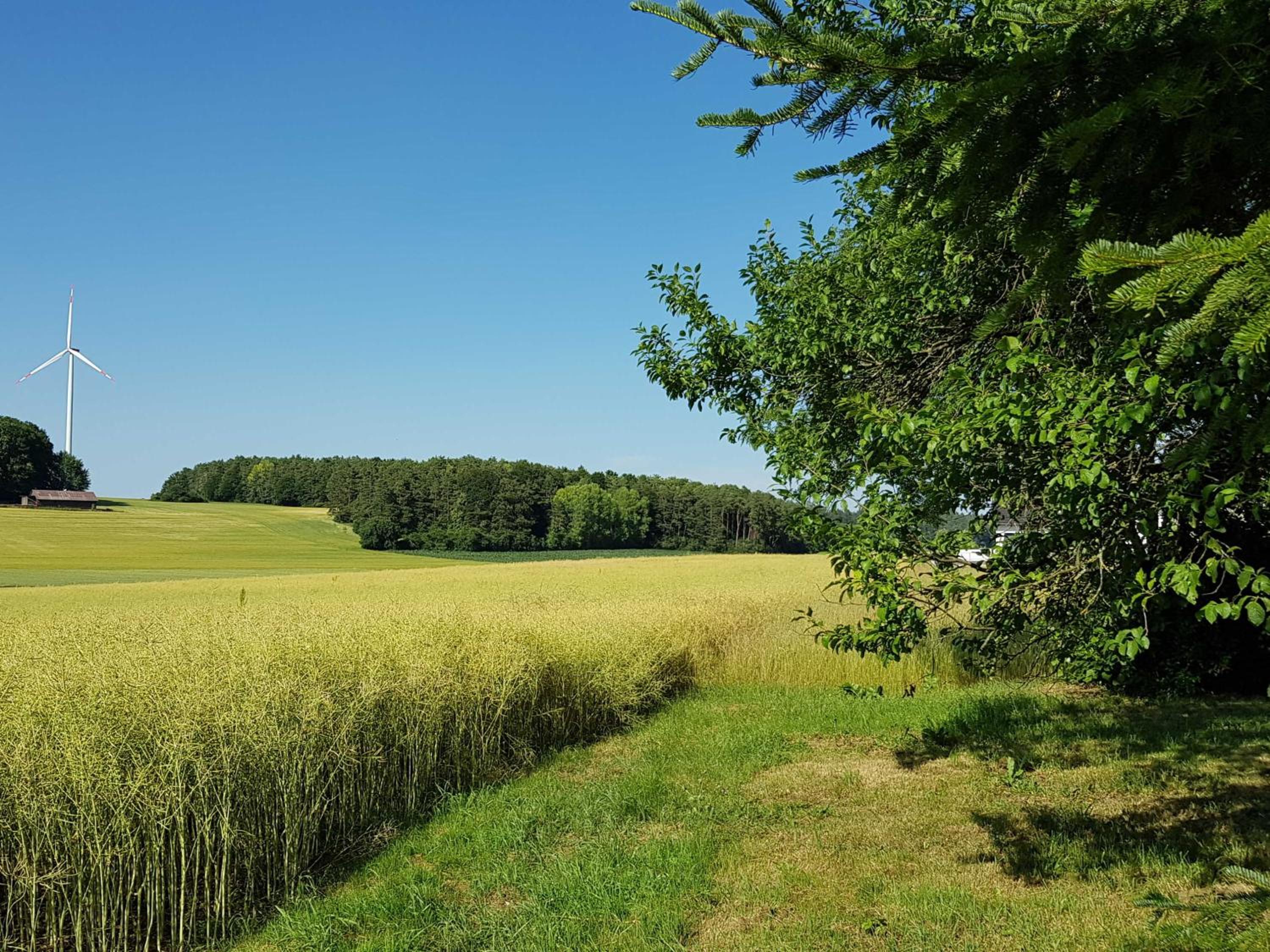 Ferienhaus Forstblick