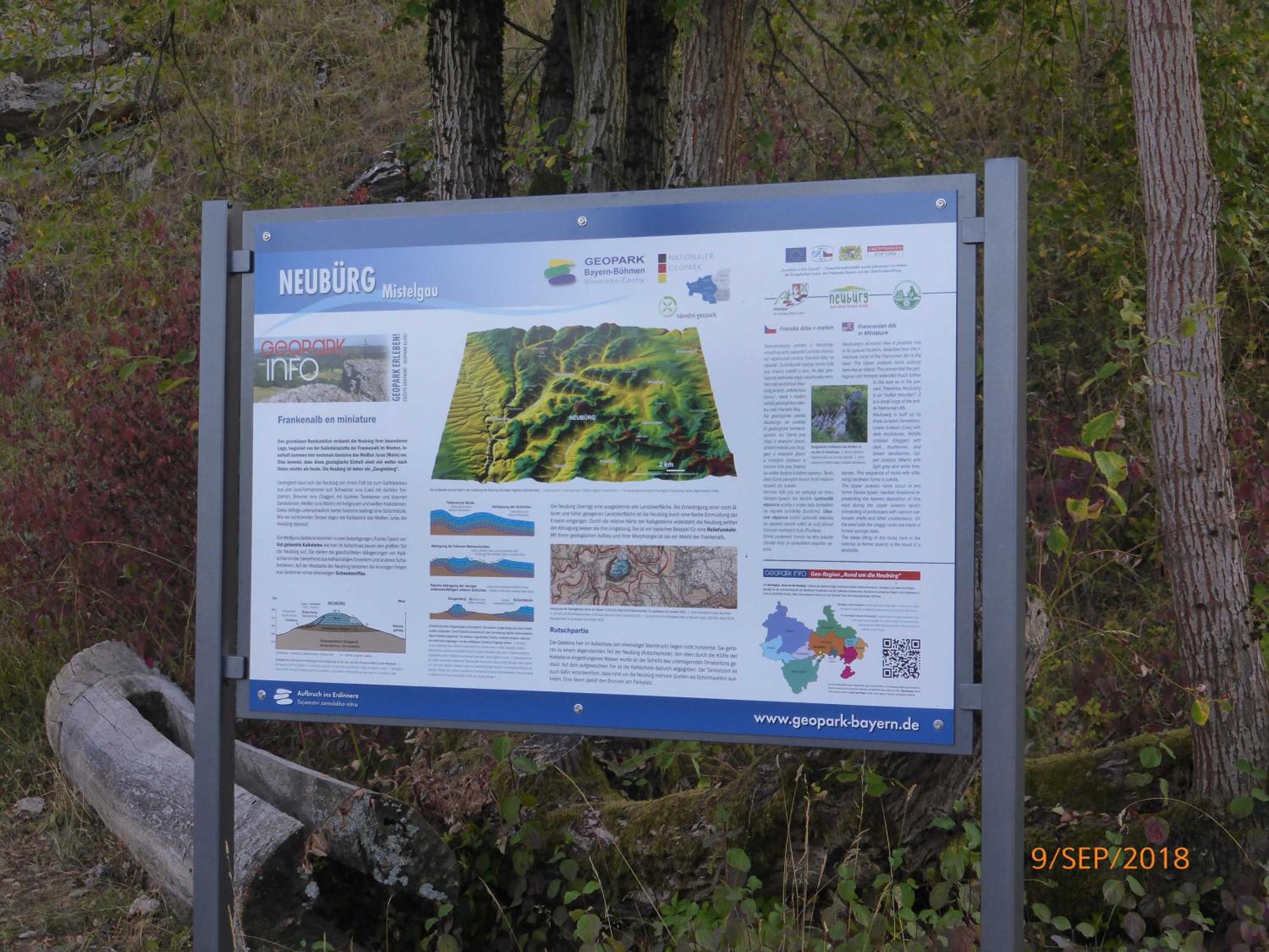 Photo 20