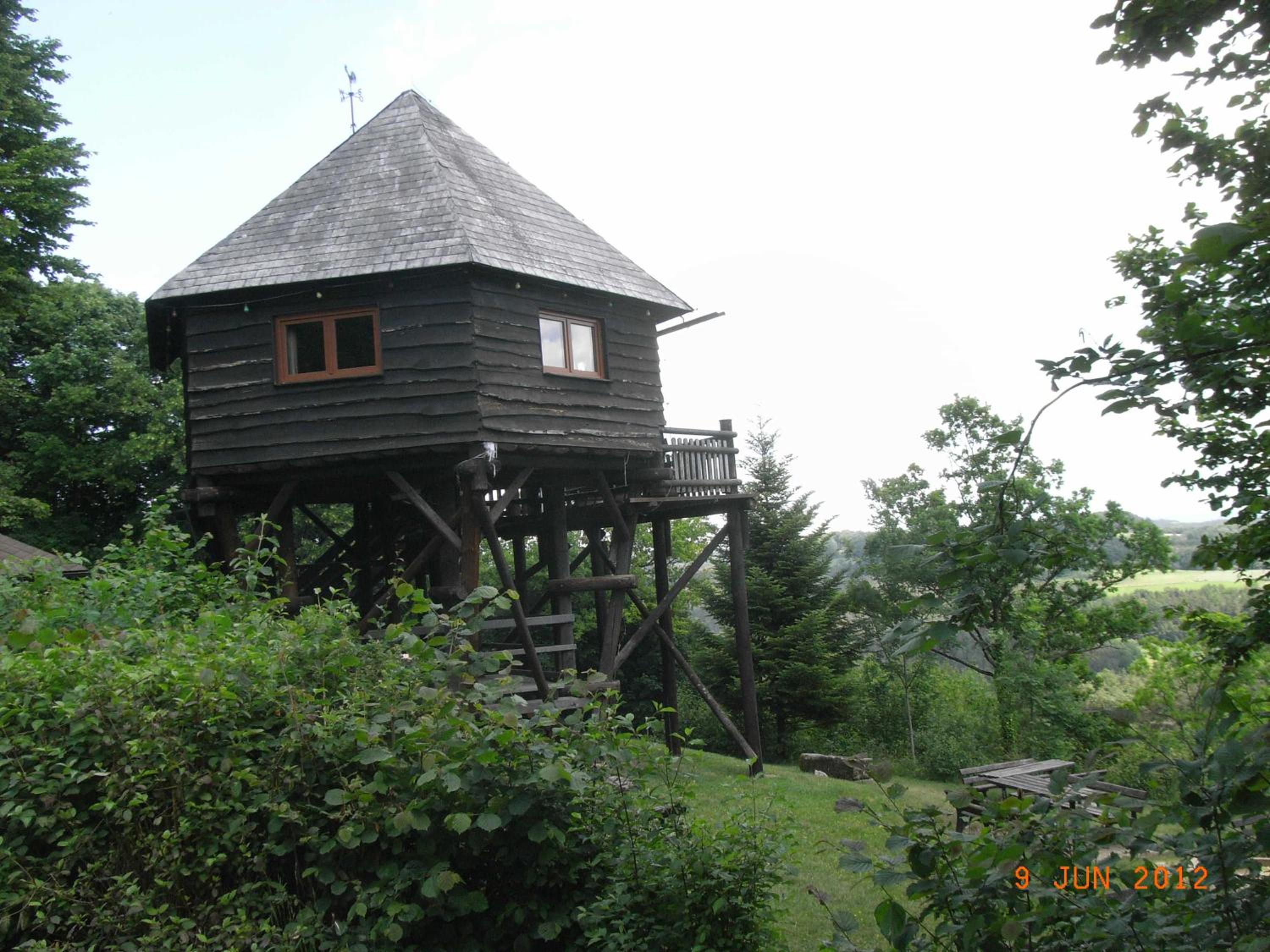 Photo 9