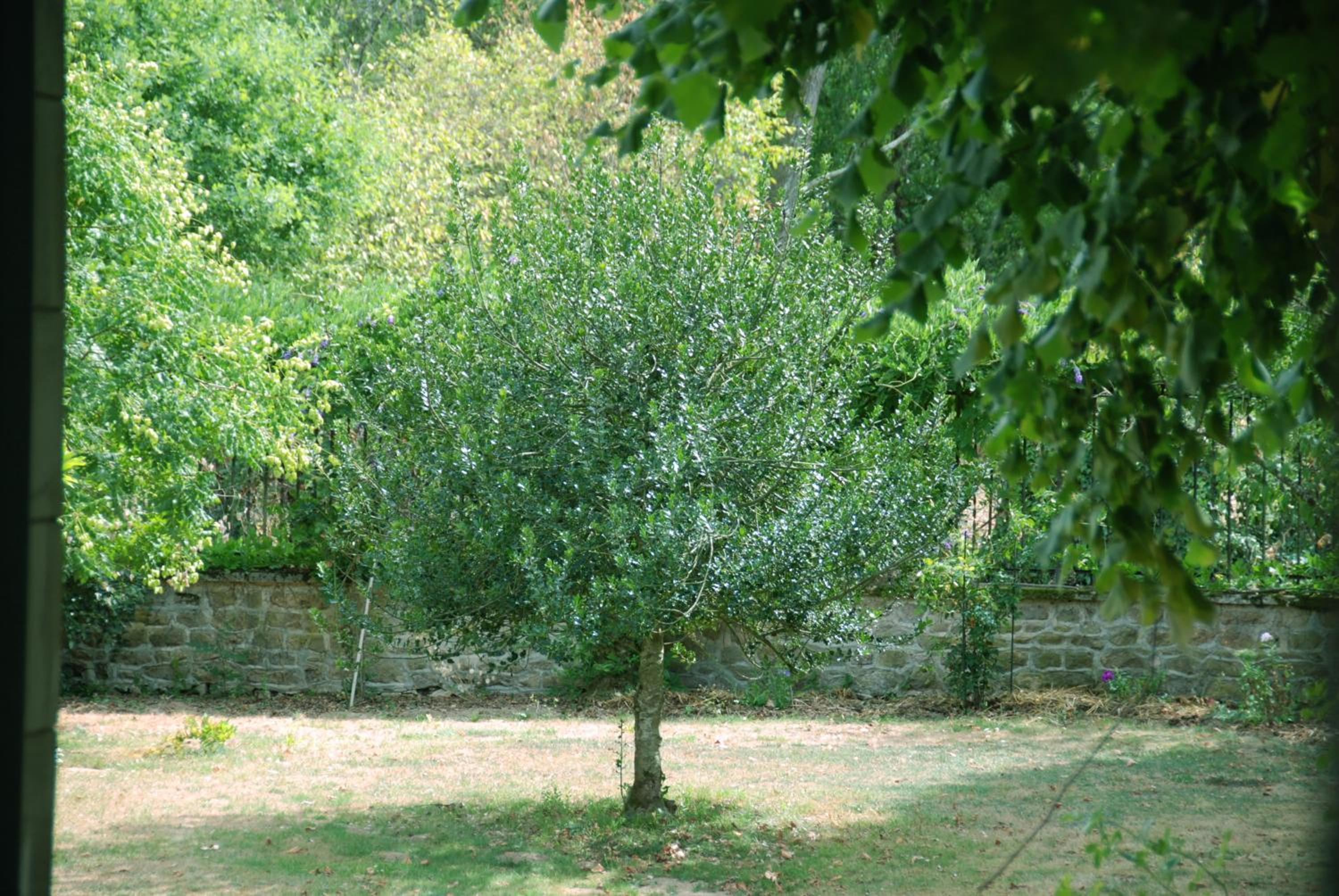 Photo 25