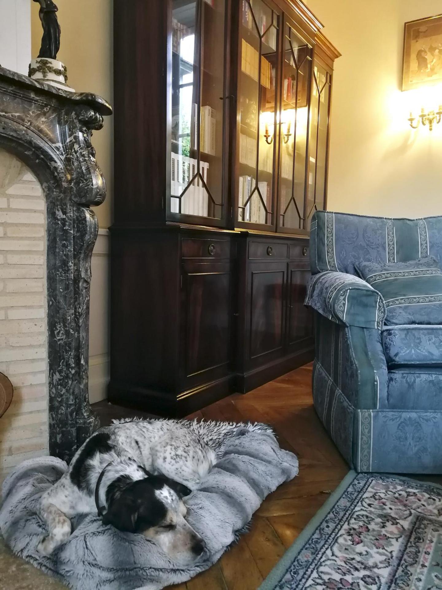 Saint-Eusèbe Mansion - Hôtel Particulier St-Eusèbe, photo 23