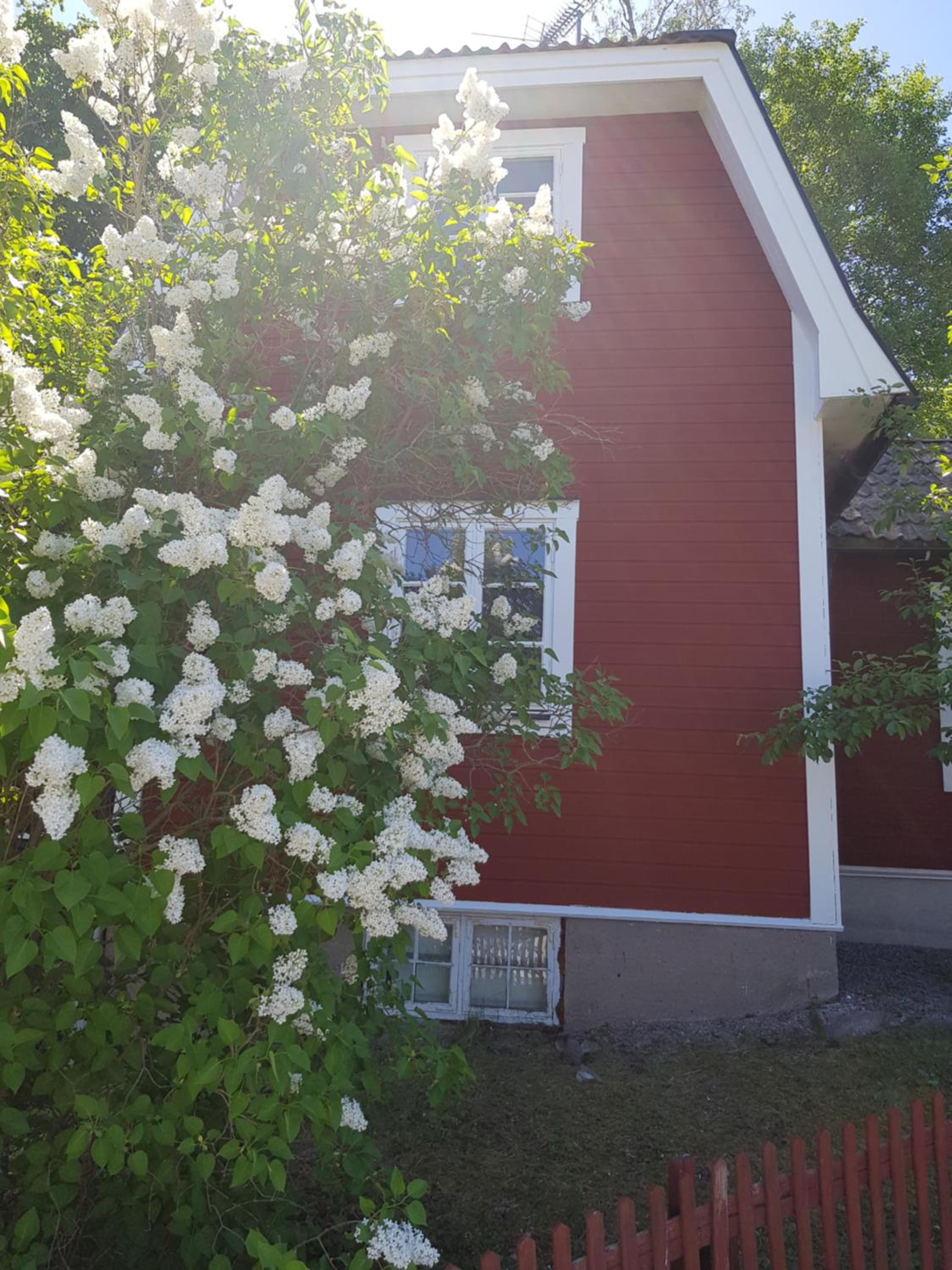 Photo 28
