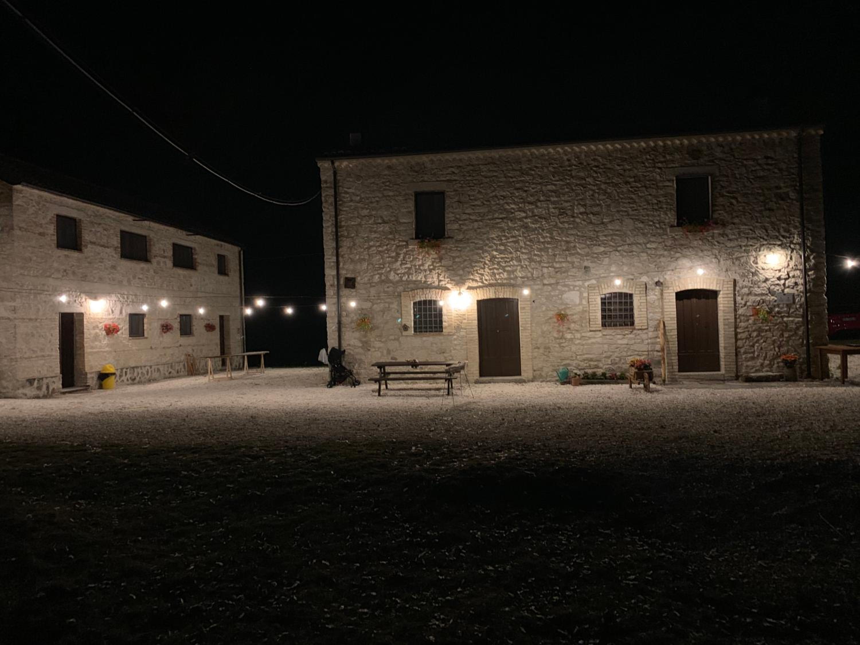 Photo 21