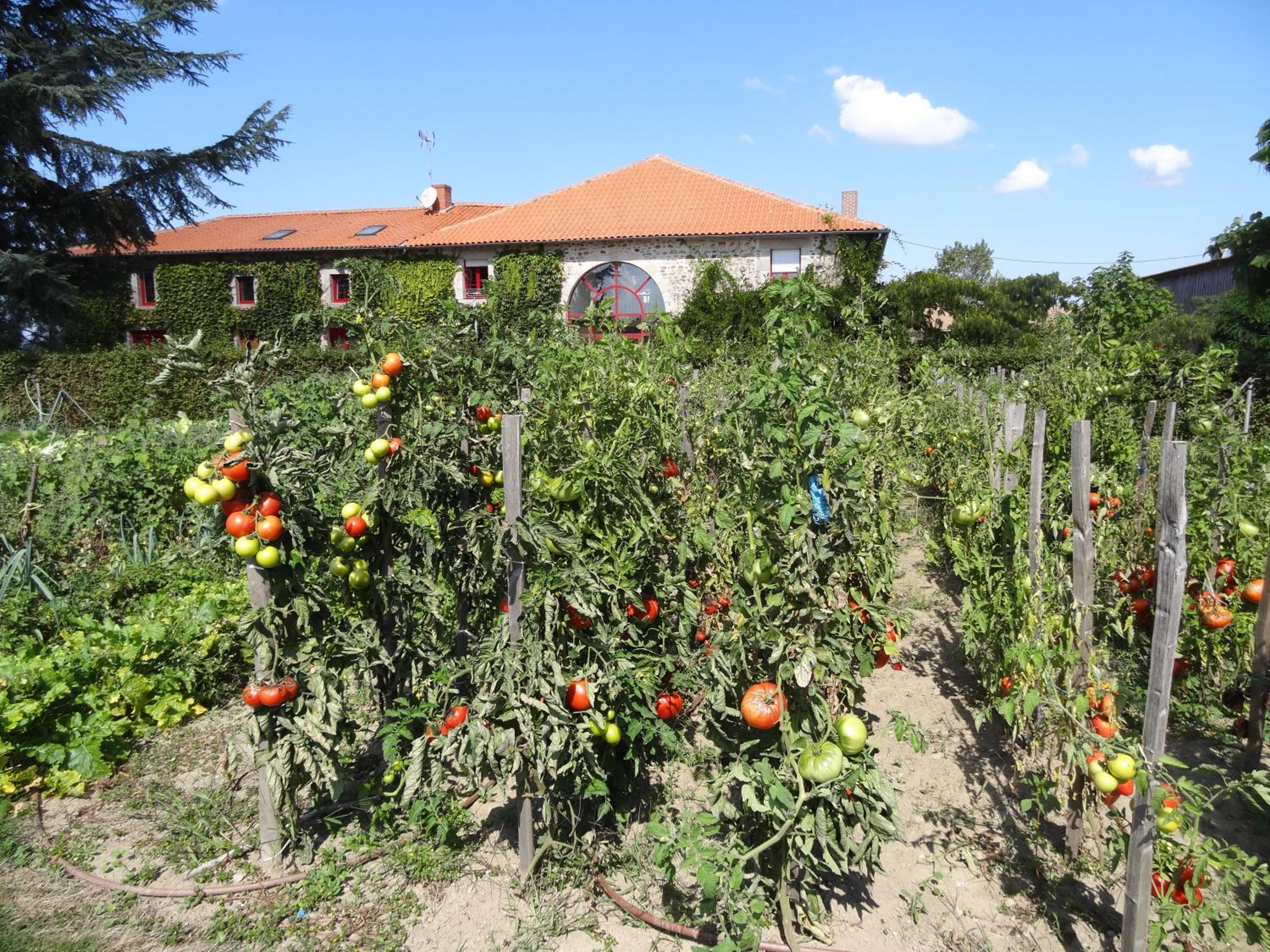 LA FERME DE ROUFFIGNAC en Blanzac