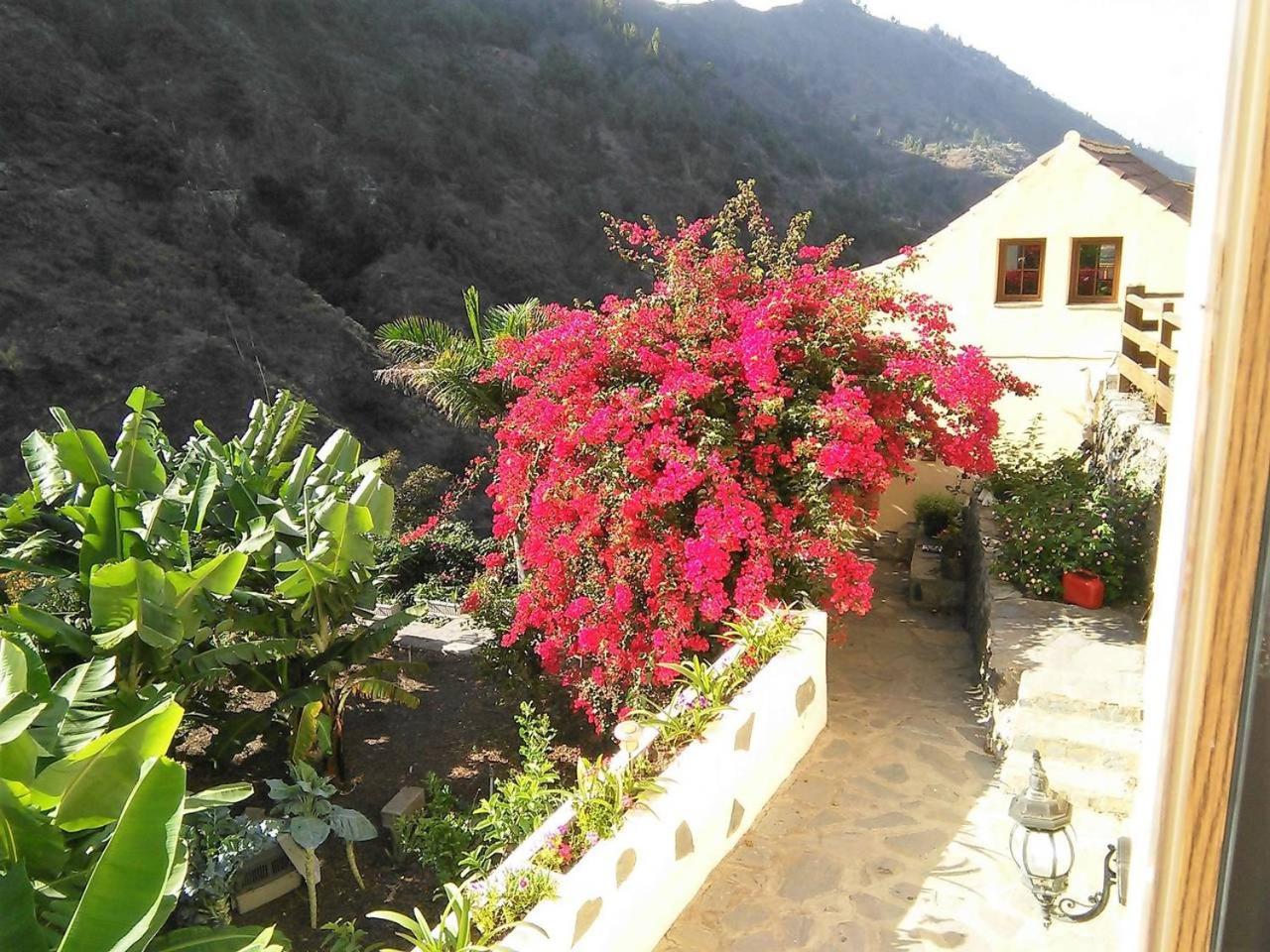 Rivendell Eco lodge