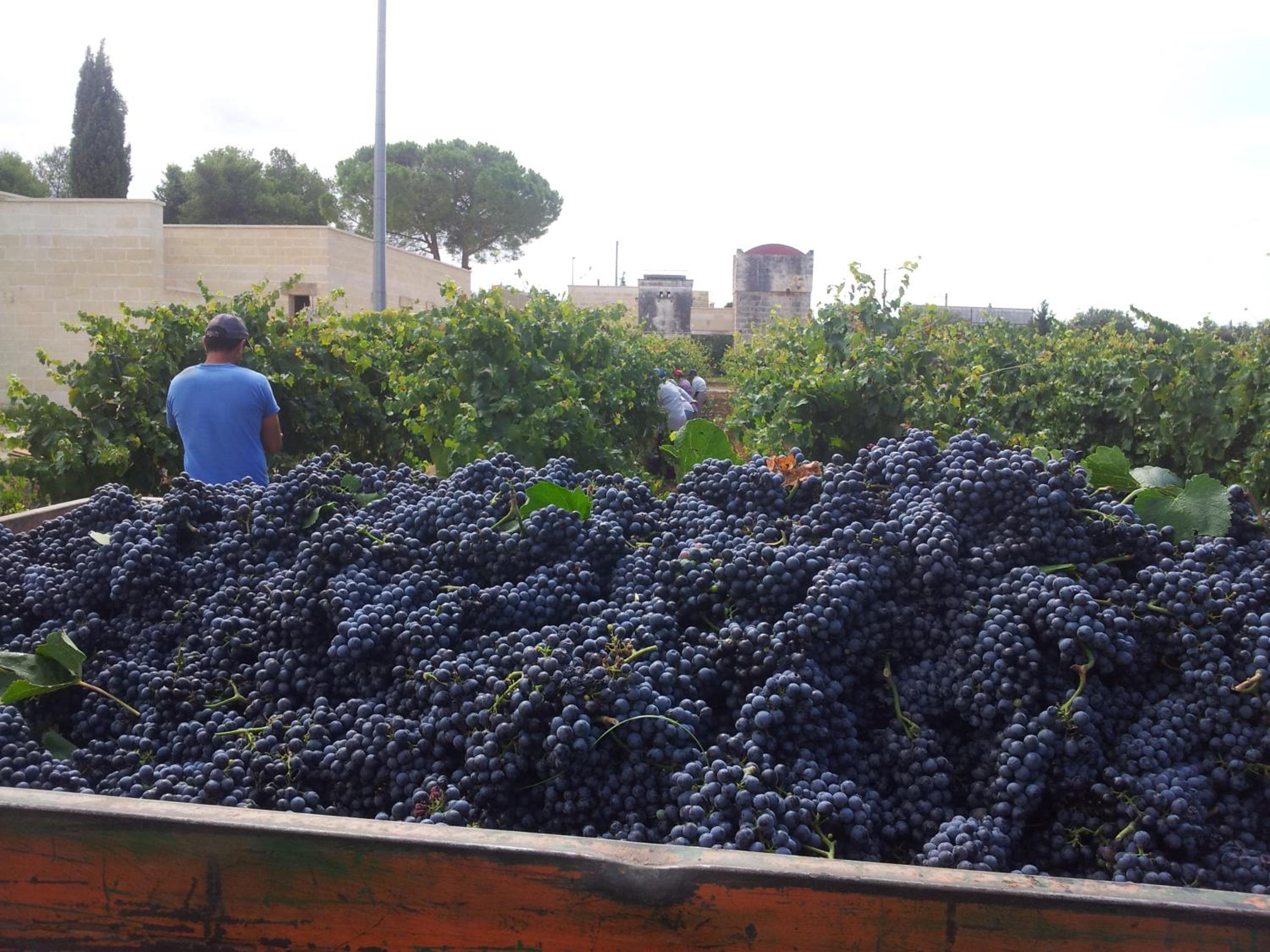 Photo 121