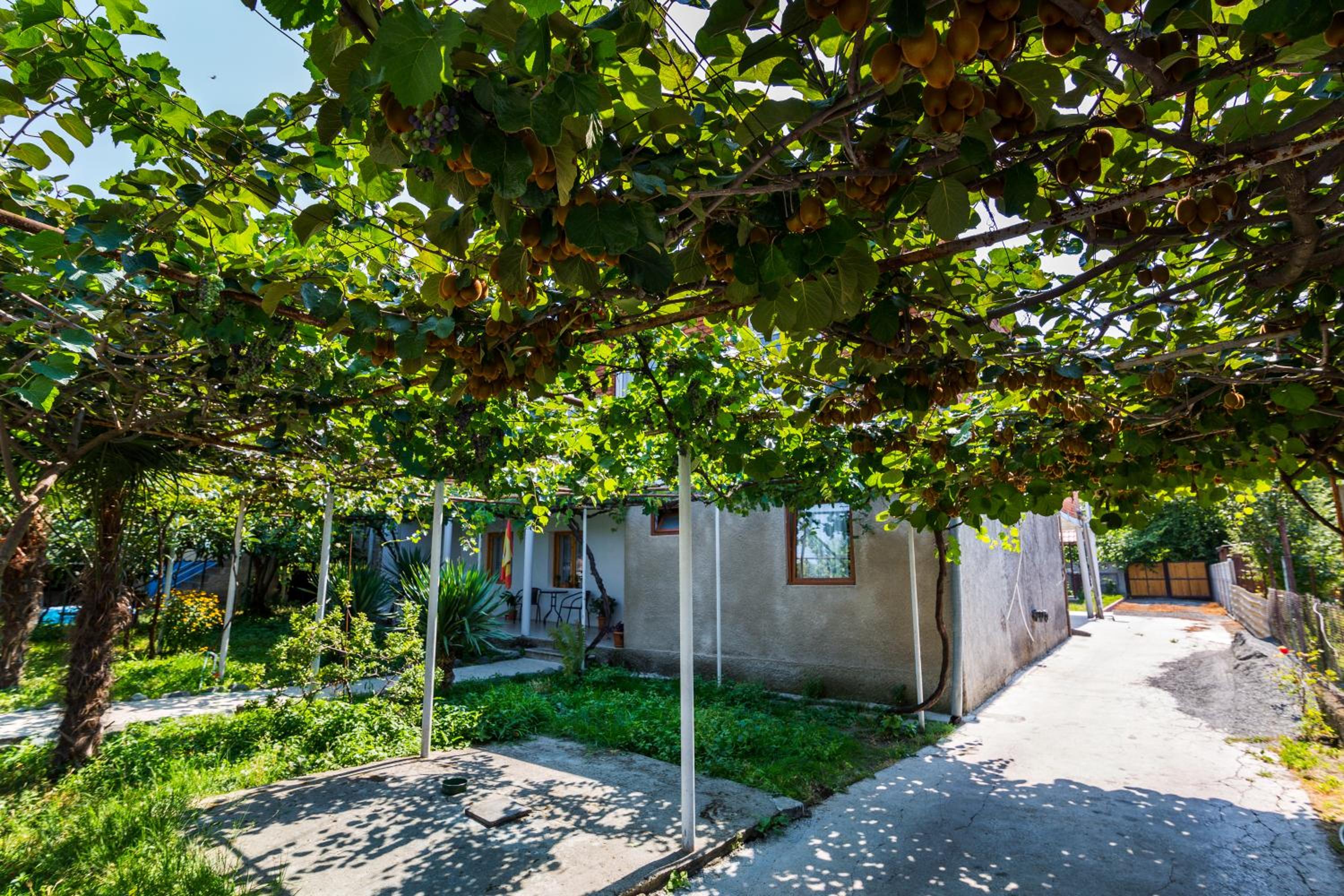 Guesthouse Vashlovani