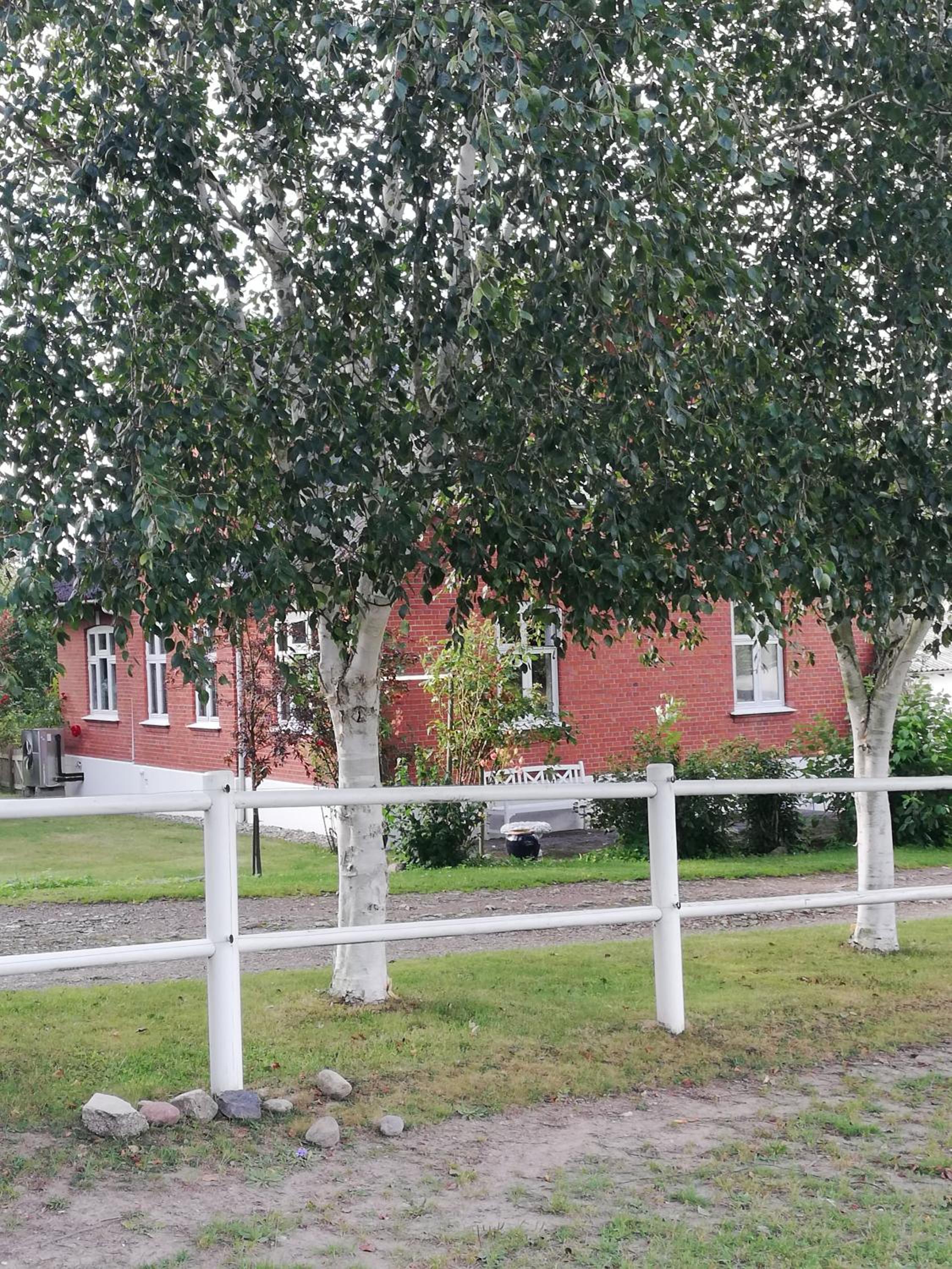 Tankefuld Living's Horsefarm