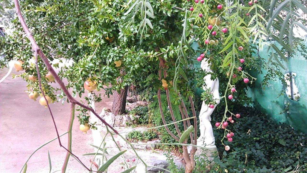 Photo 41