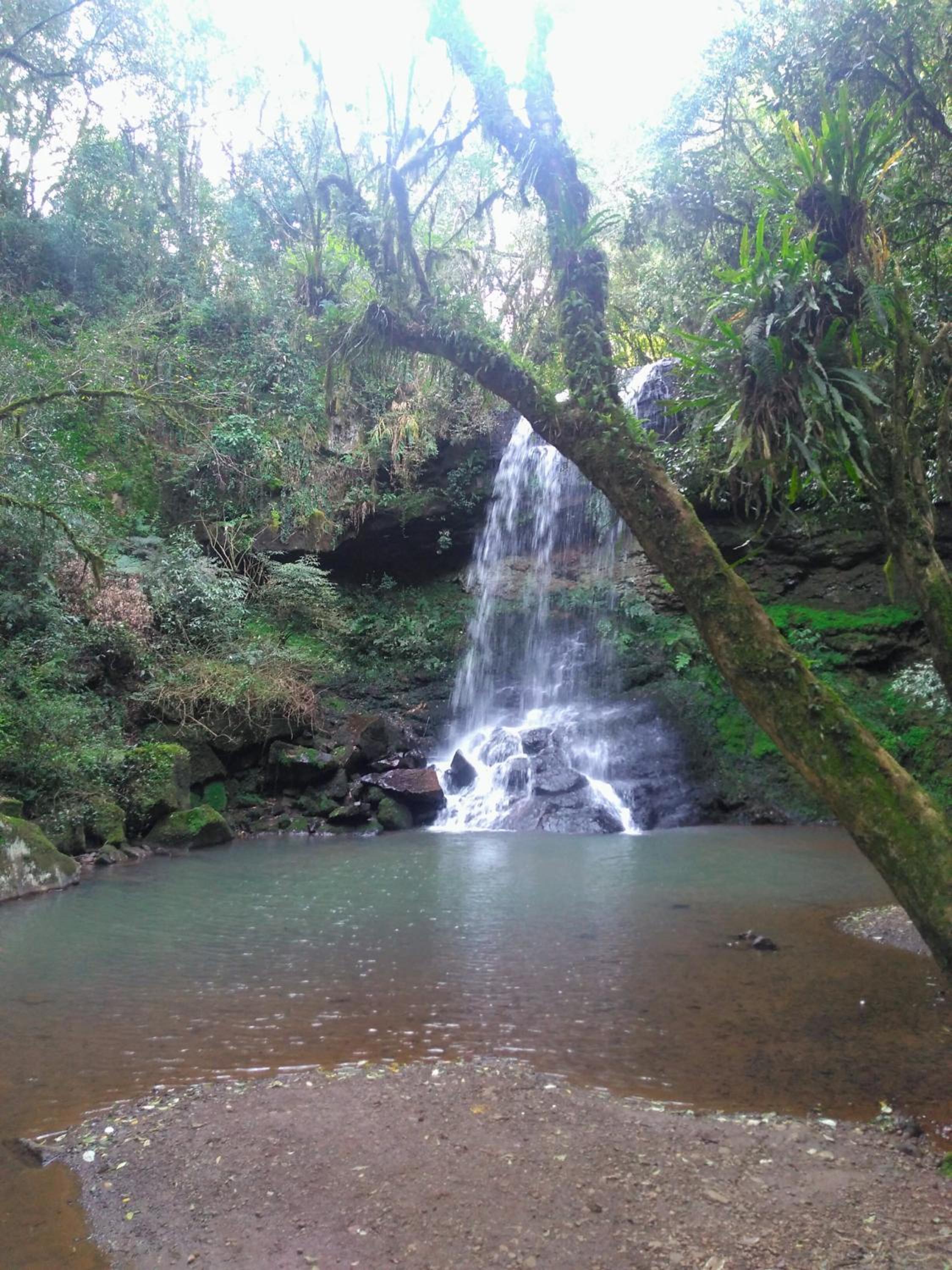 Casa Rural Na Serra, próxima de Cachoeiras e verde view 3