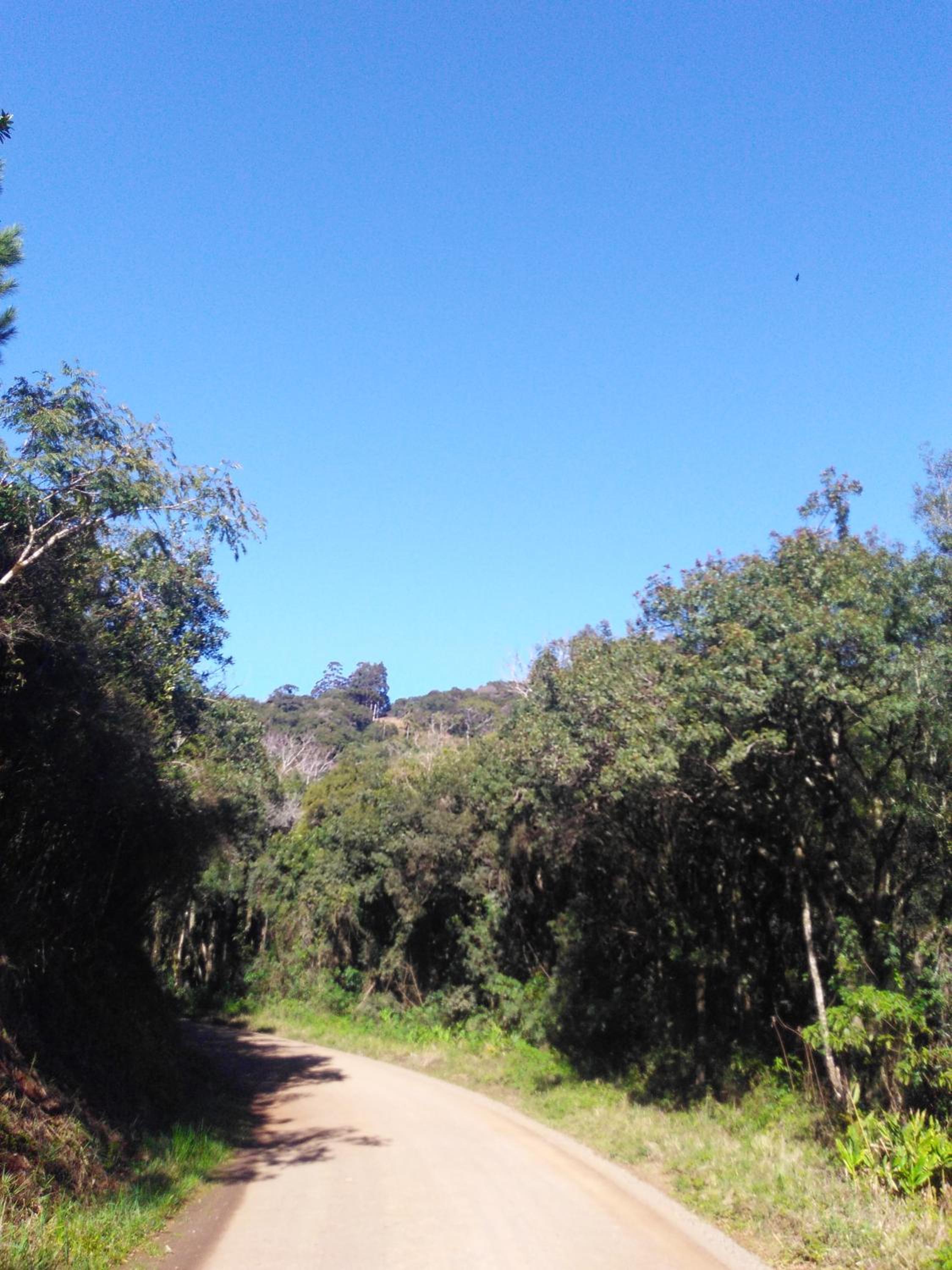 Casa Rural Na Serra, próxima de Cachoeiras e verde view 2