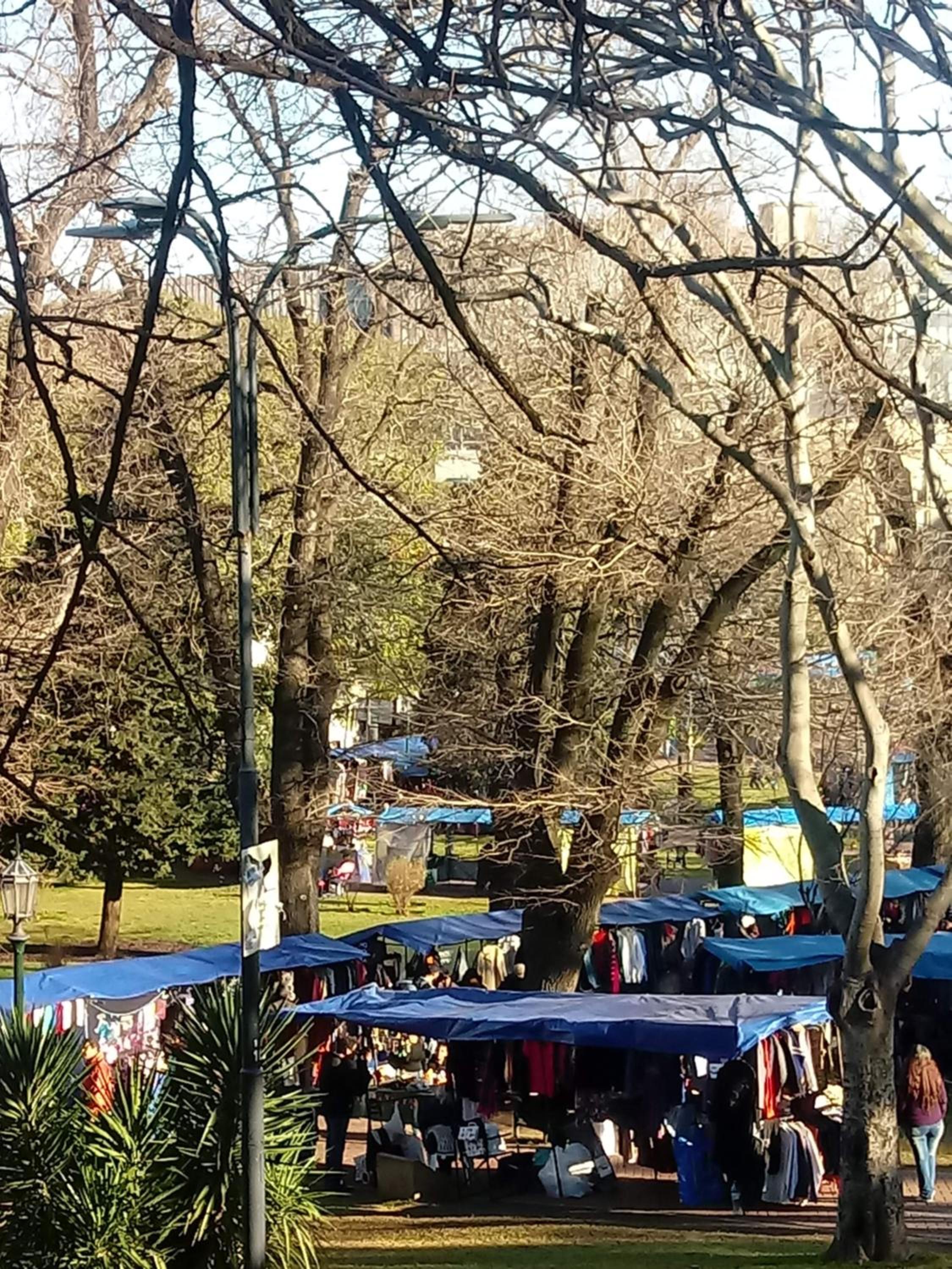 Calido en Parque Lezama