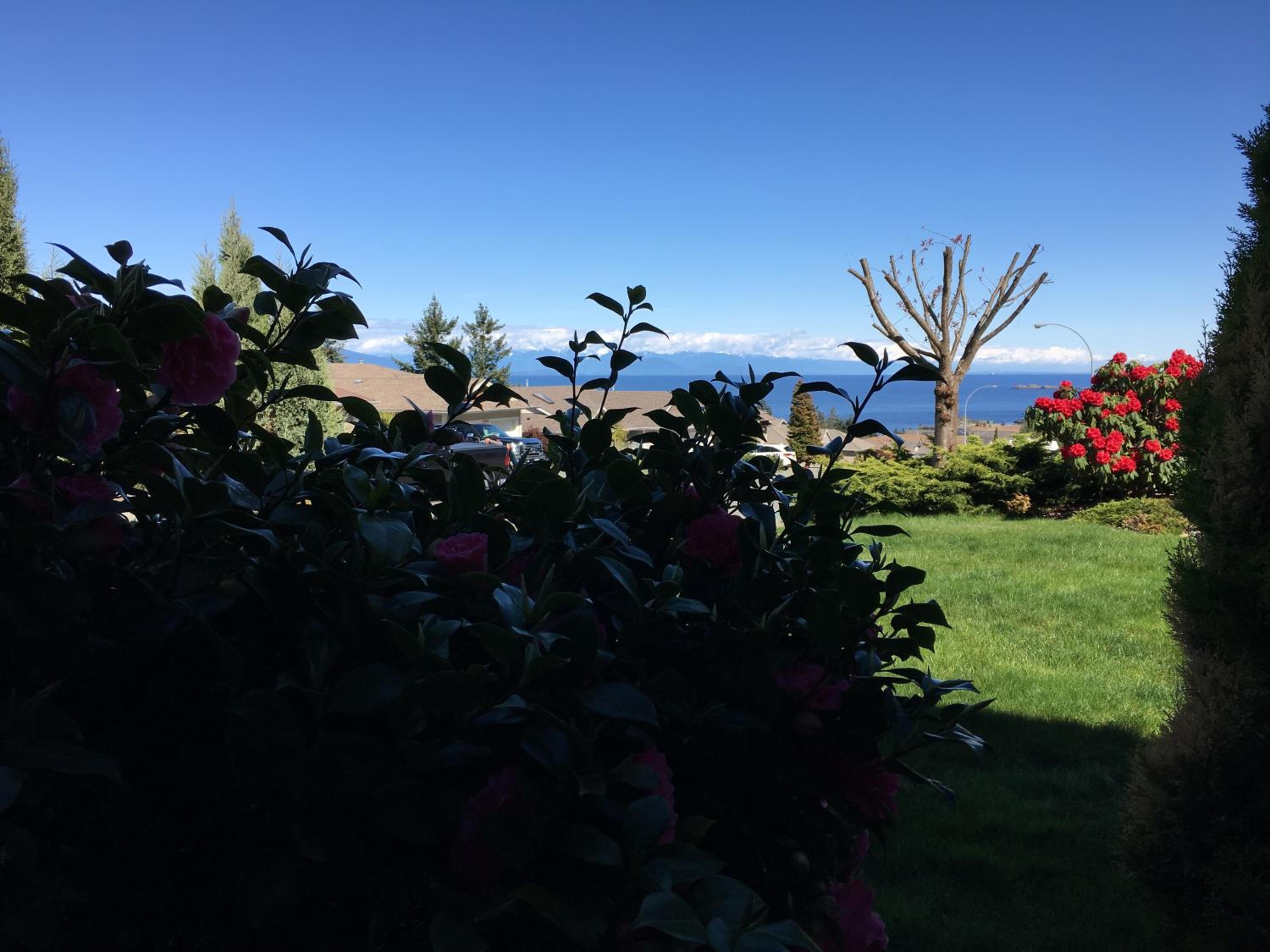 NeckPoint Treasure BNB view 5