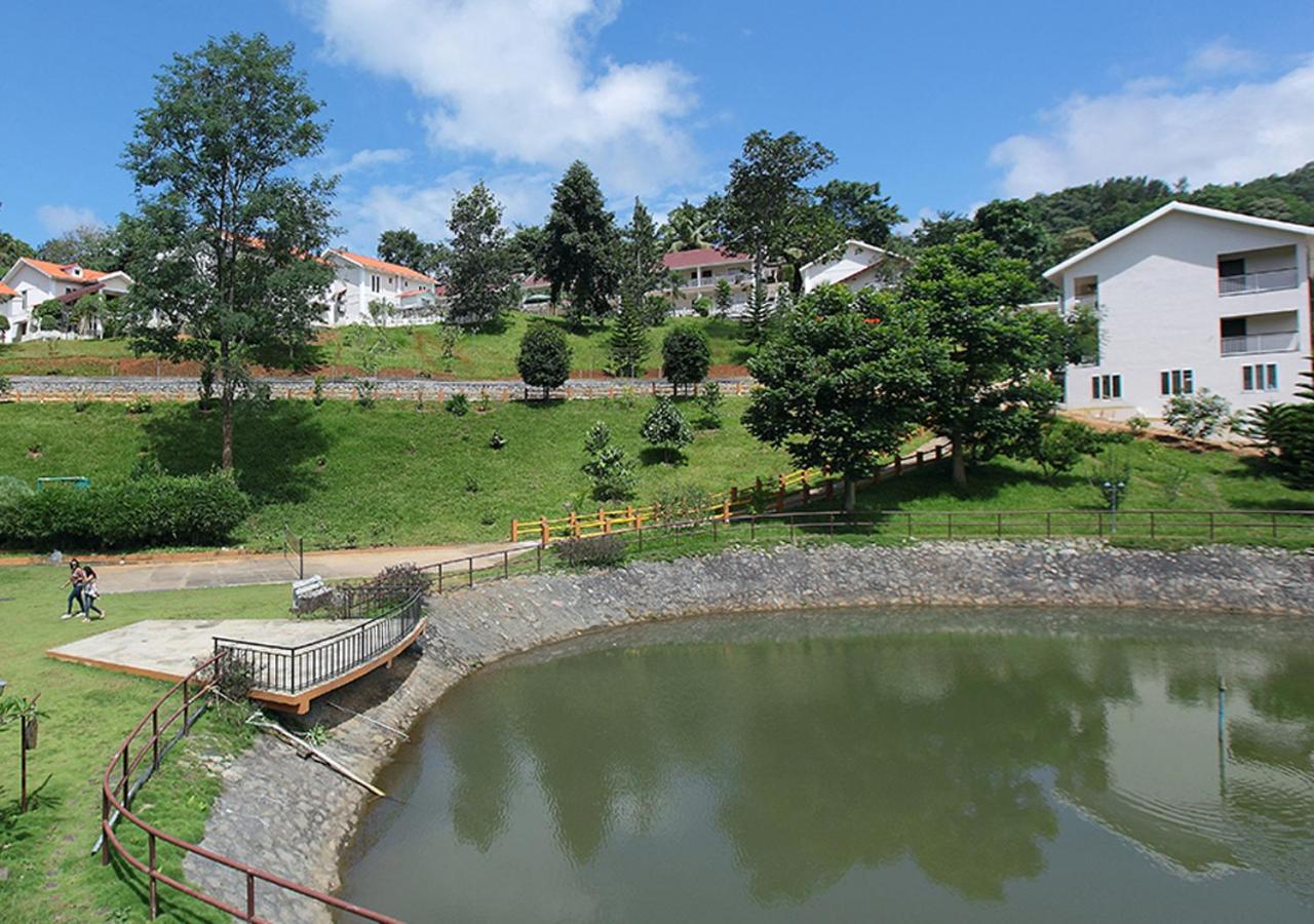 Photo 42