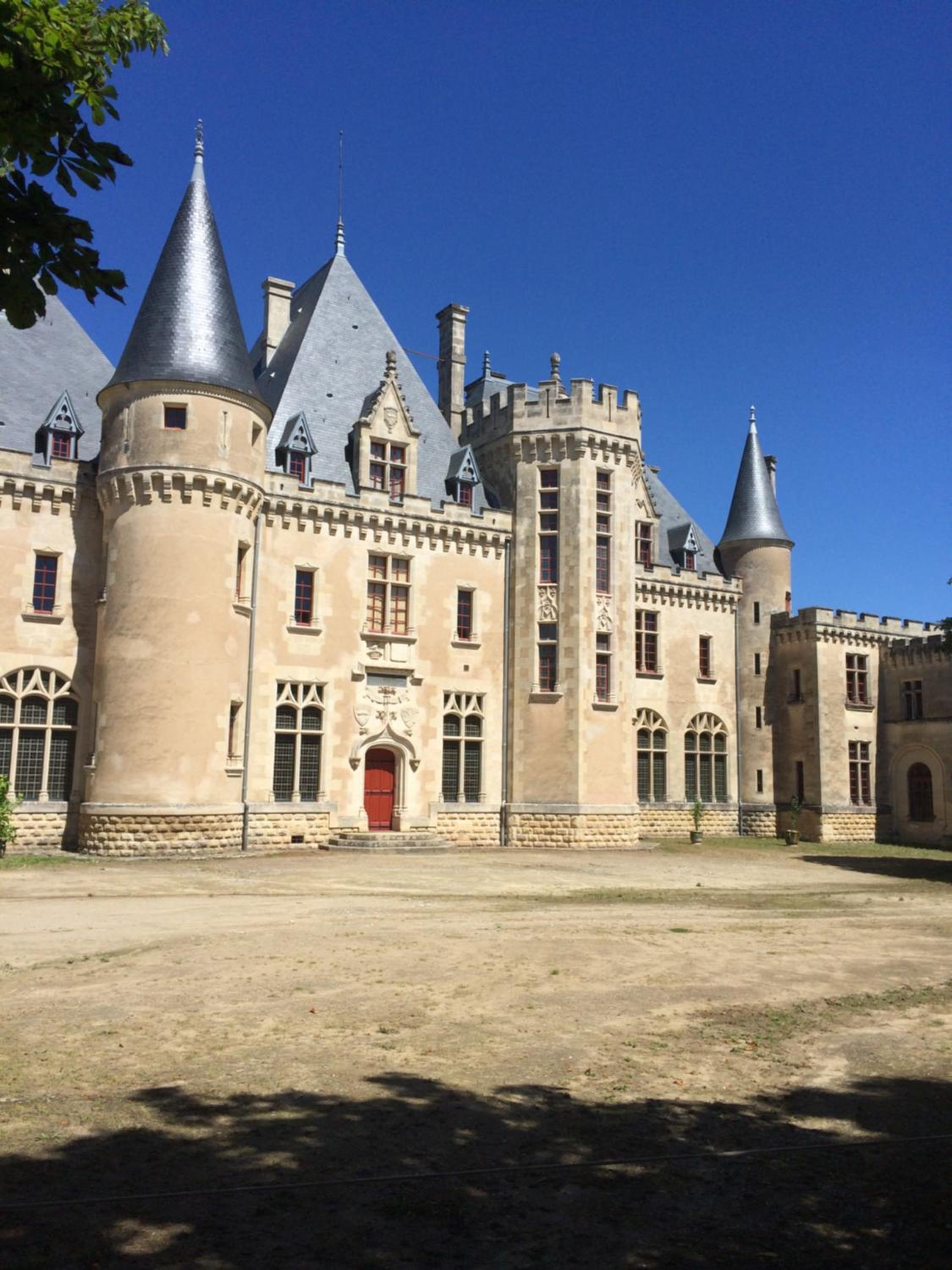 Photo 15