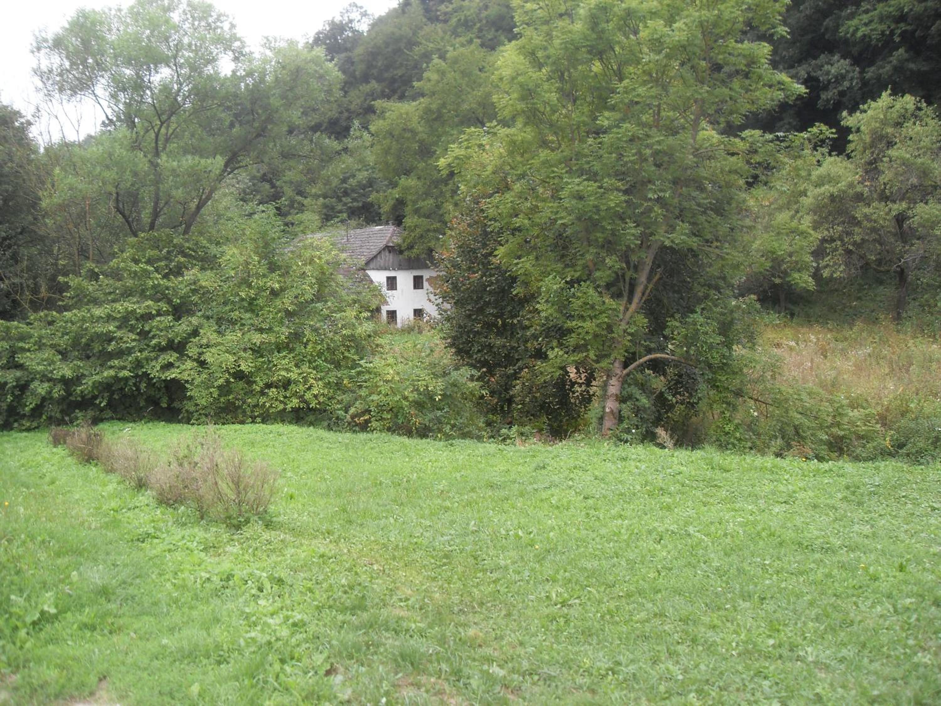 Photo 44