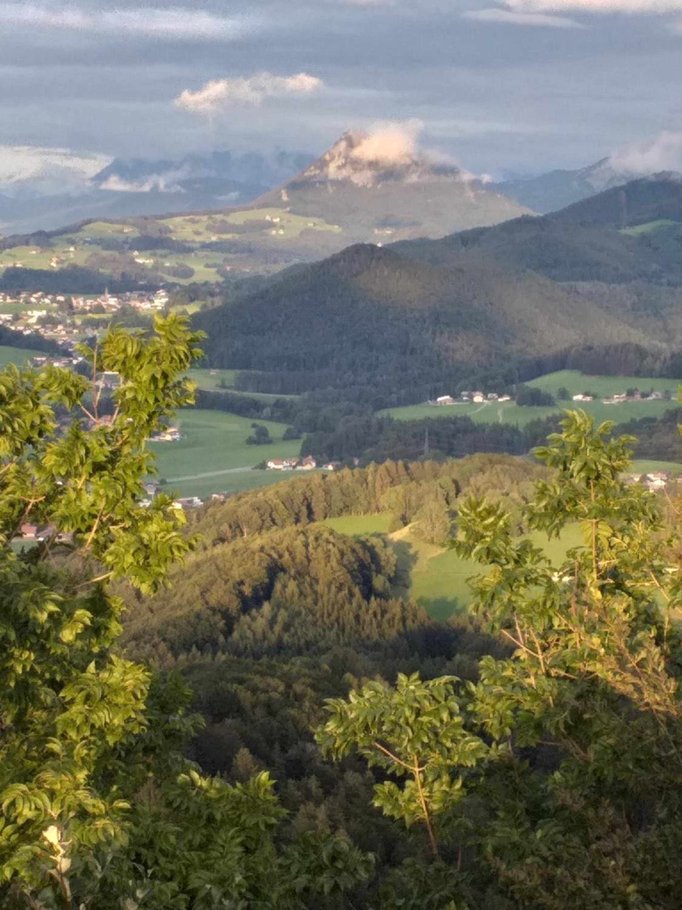 Pension Waldhof
