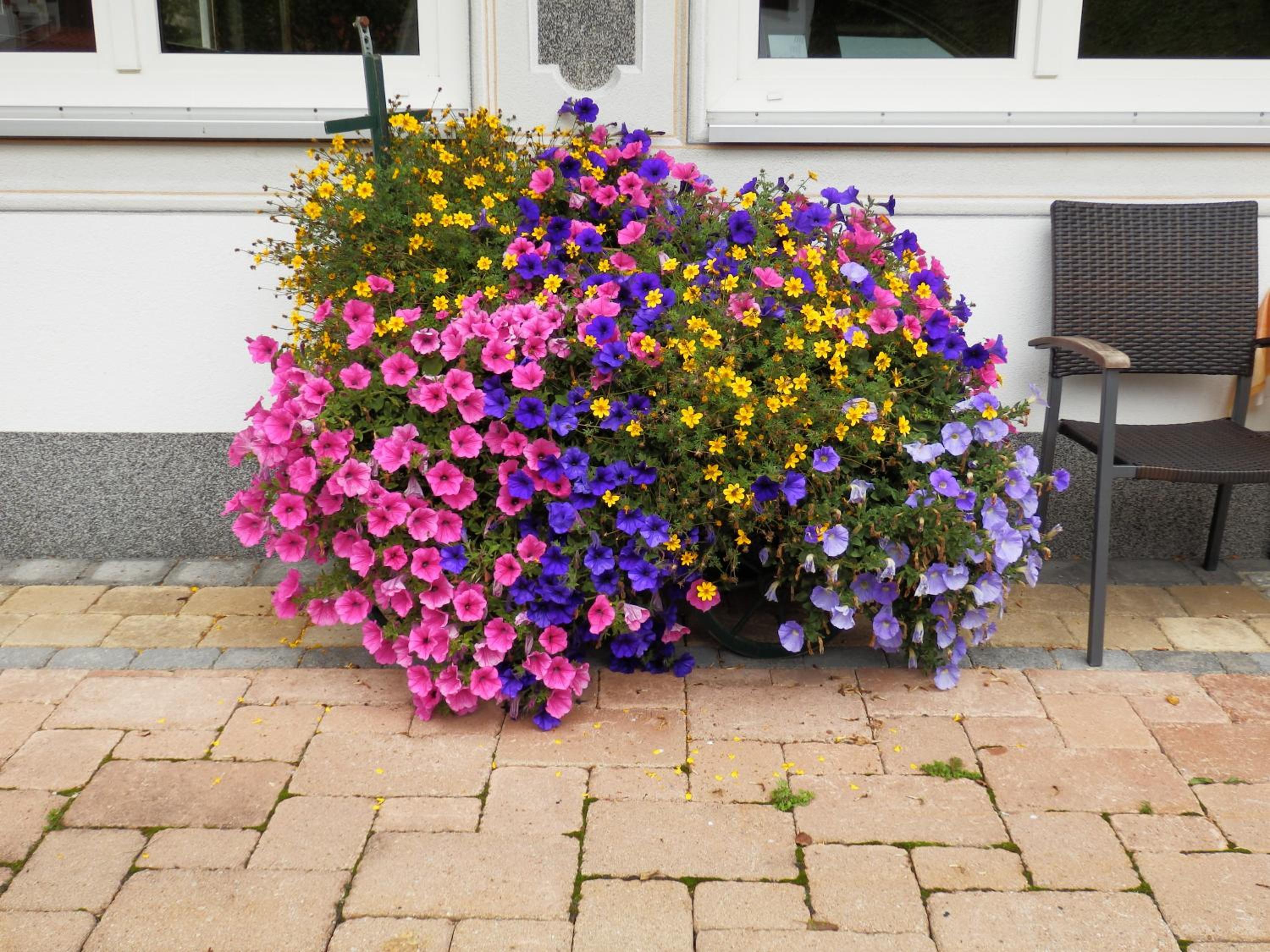 Haus Seebach