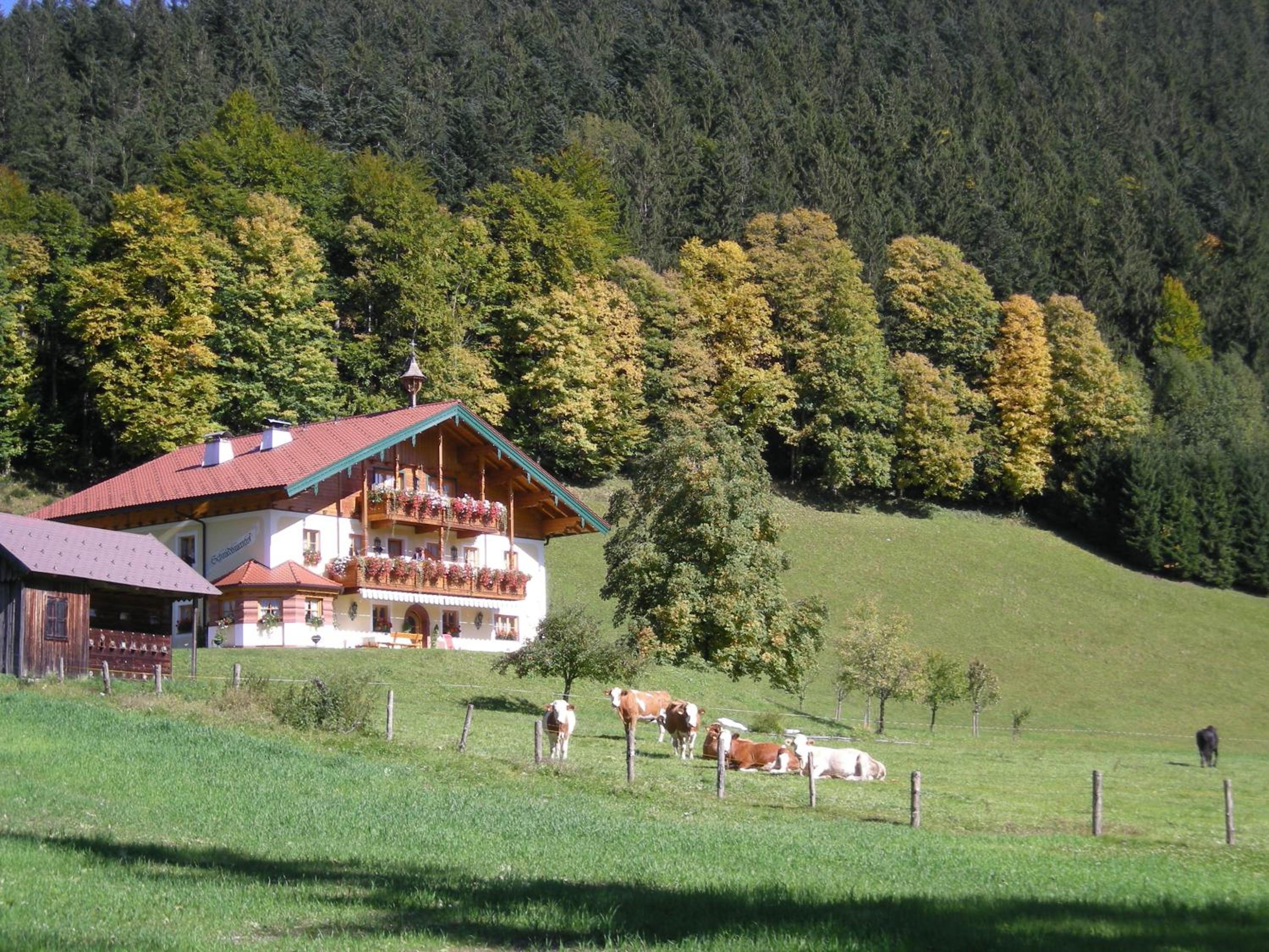 Am Ferienbauernhof Schmiedbauer com Salzkammergut view 2