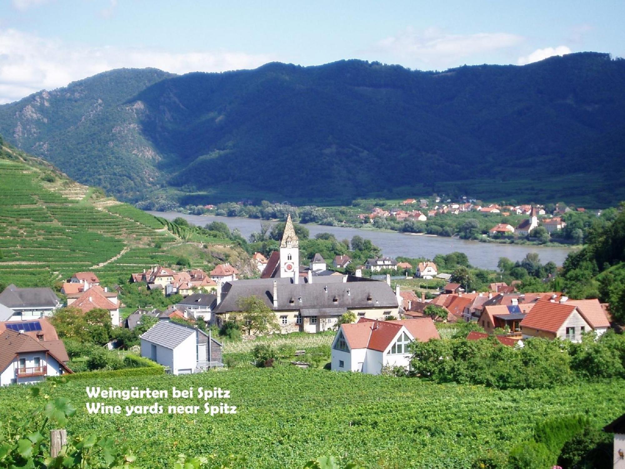 Gästehaus am Weinberg - Schlager