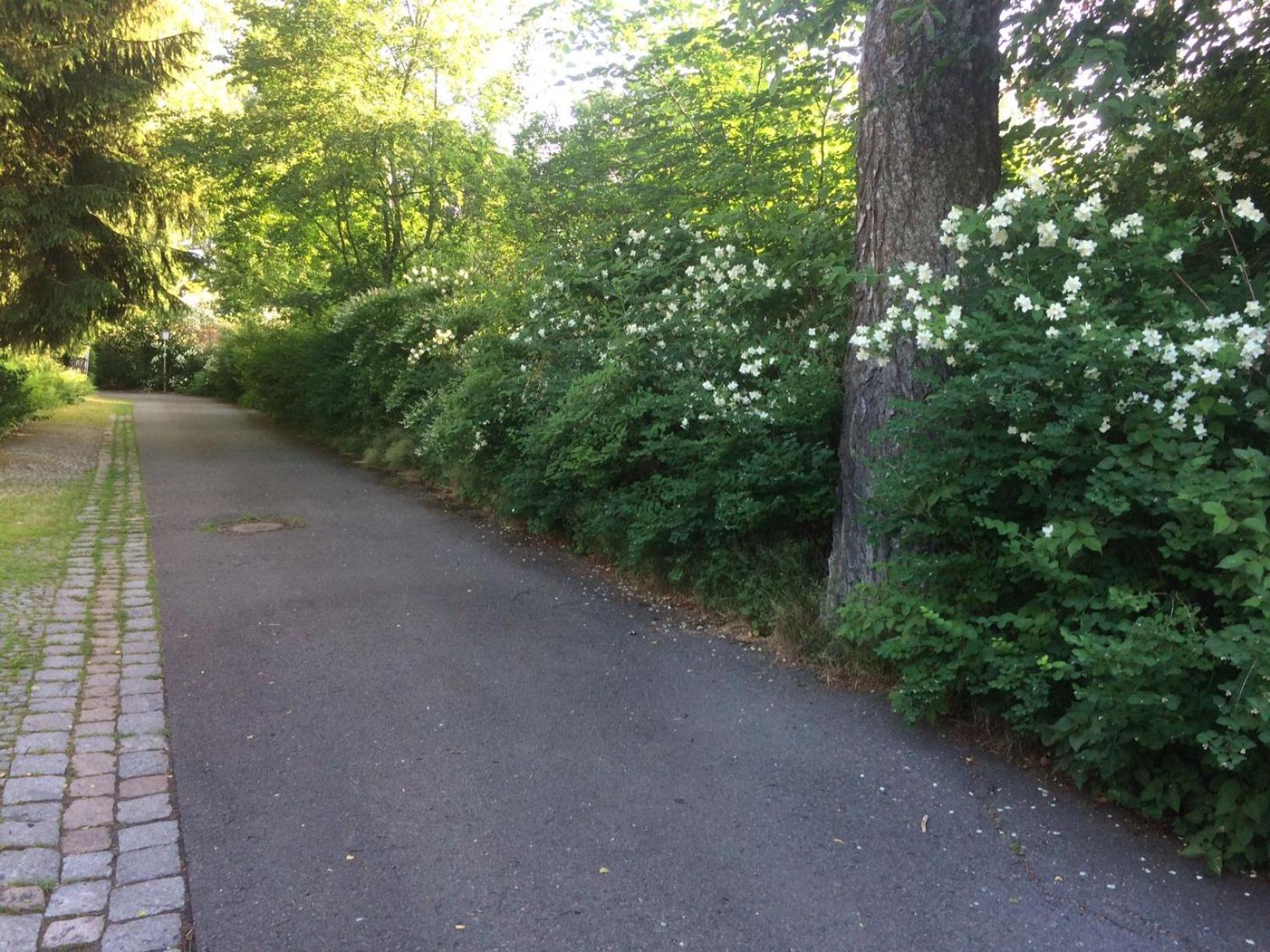 Photo 28