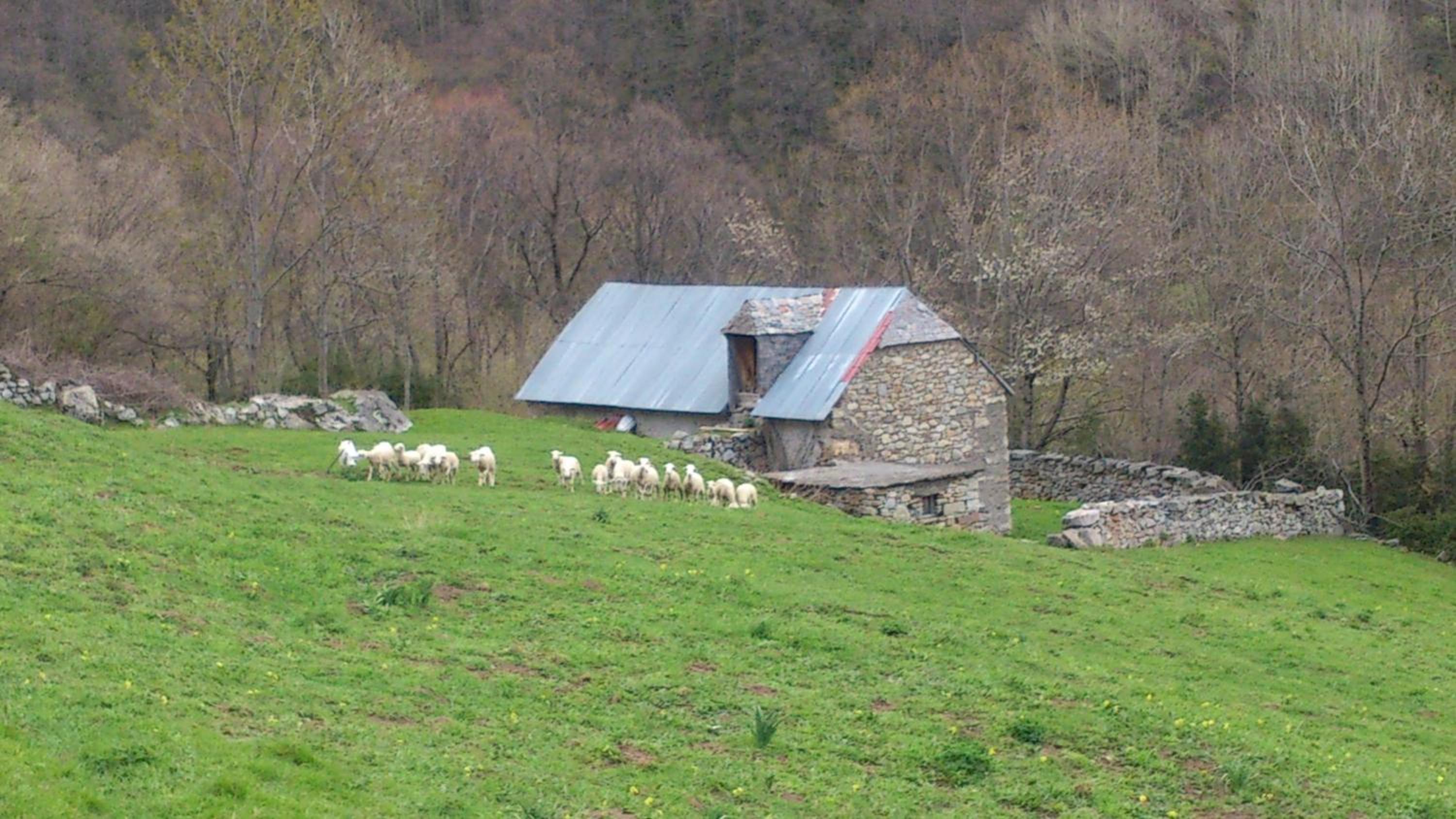 Photo 13