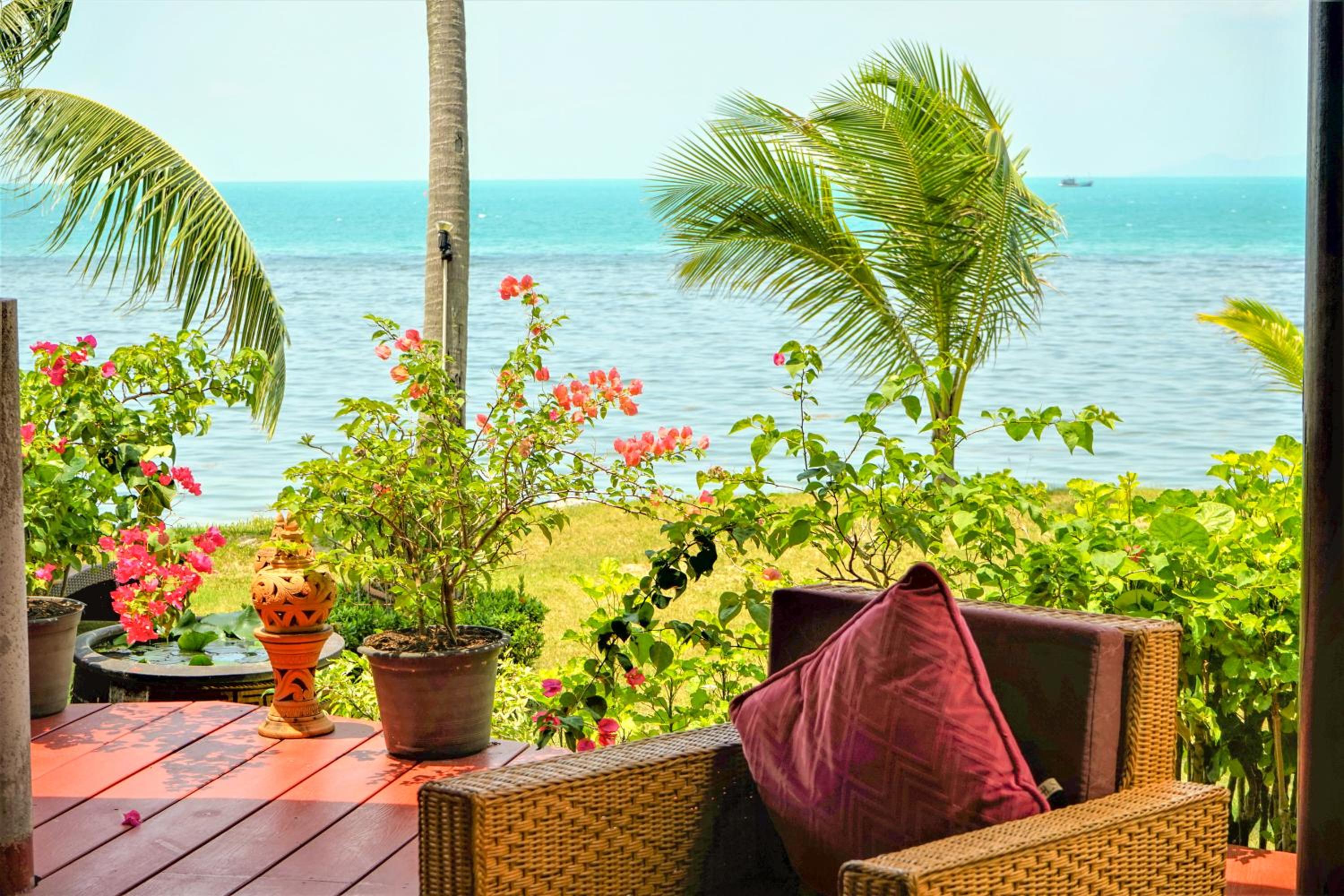 The Natives Samui