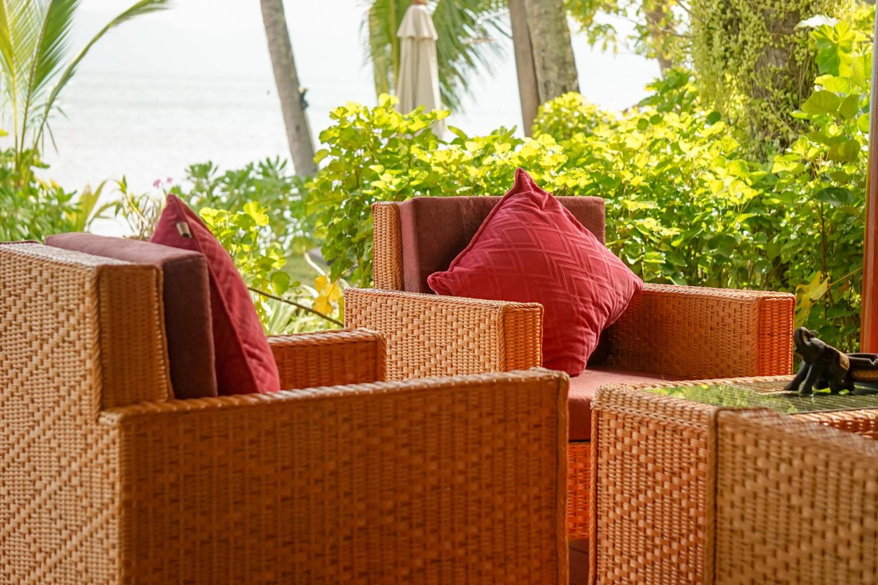 The Natives Samui
