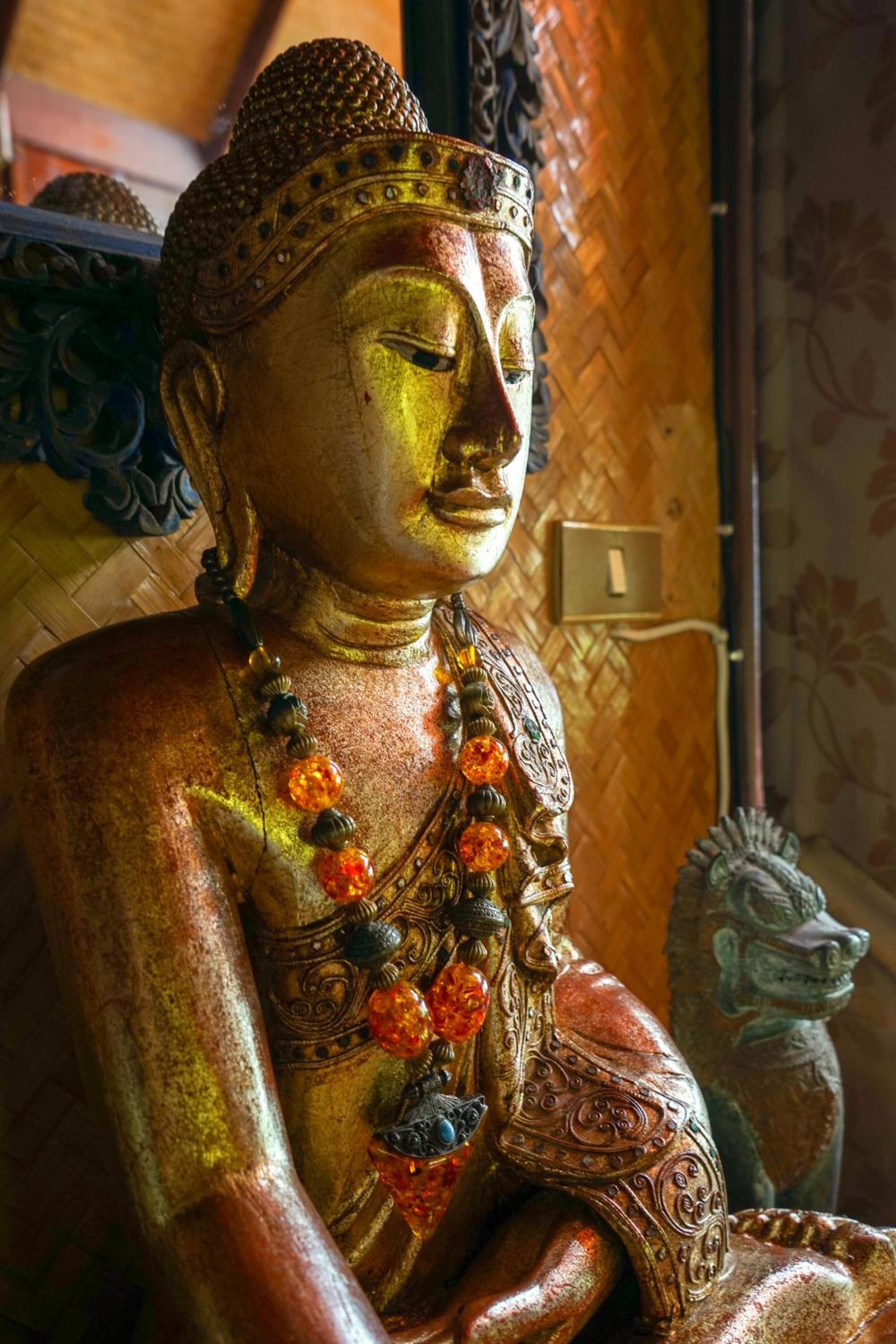 The Natives Samui