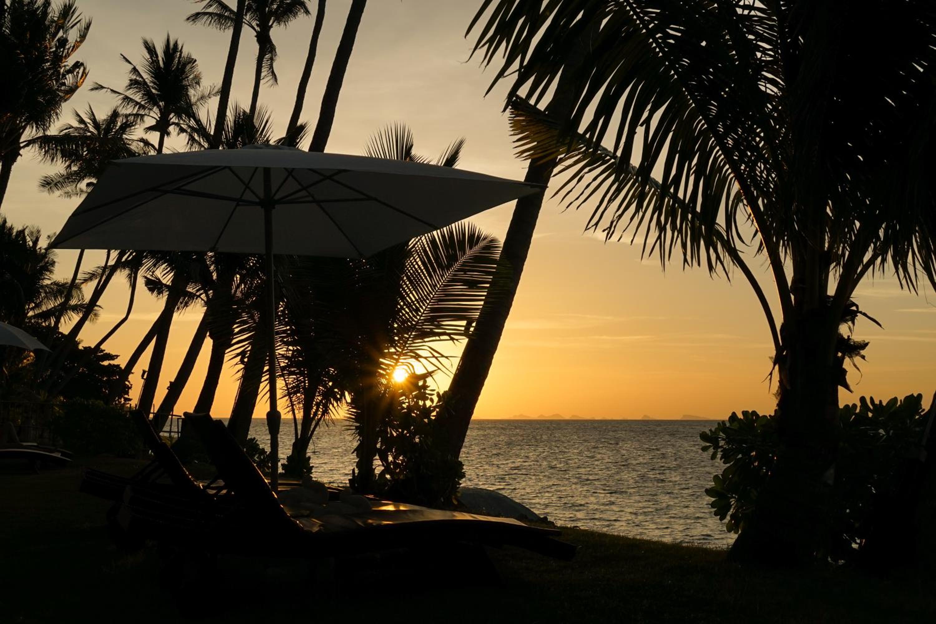 The Natives Samui