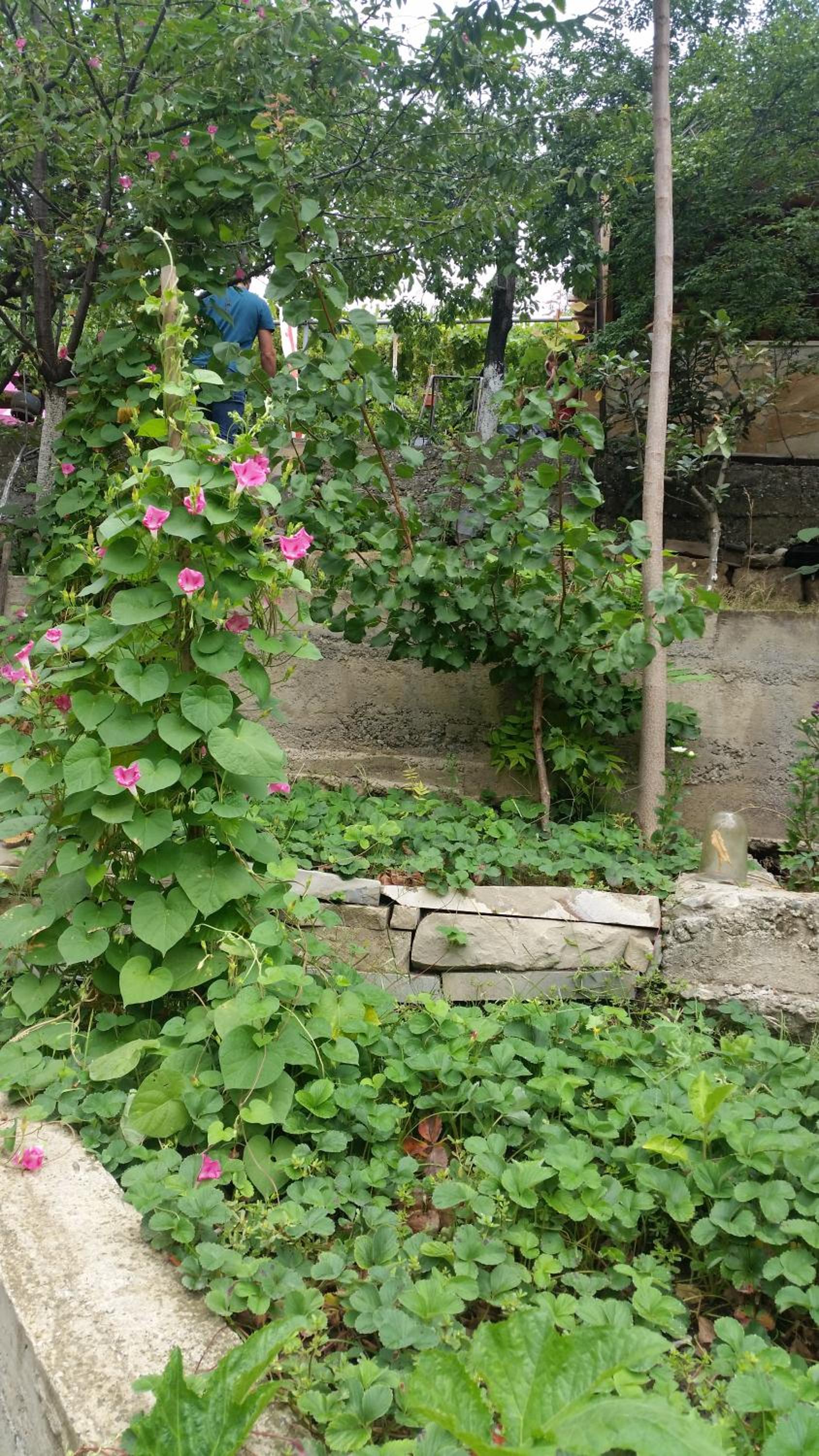 Photo 26