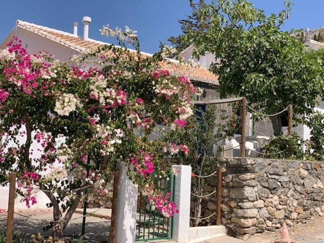 Casa Isabel - La Almona Chica view 3