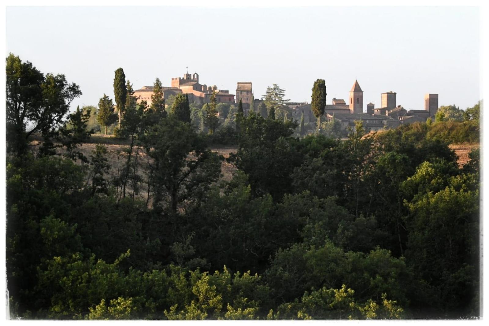 Agriturismo Il Torrione view 2