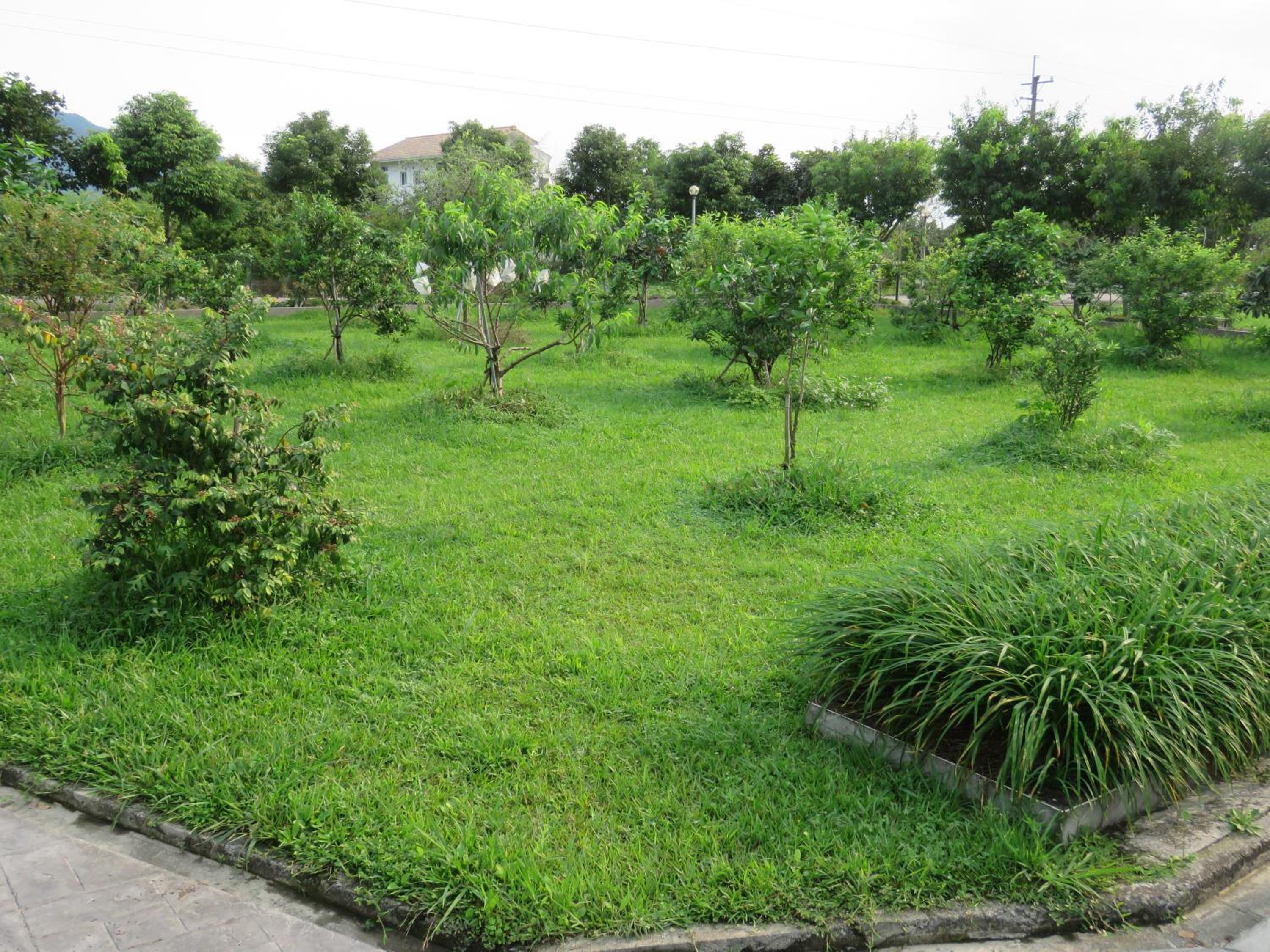 Photo 22