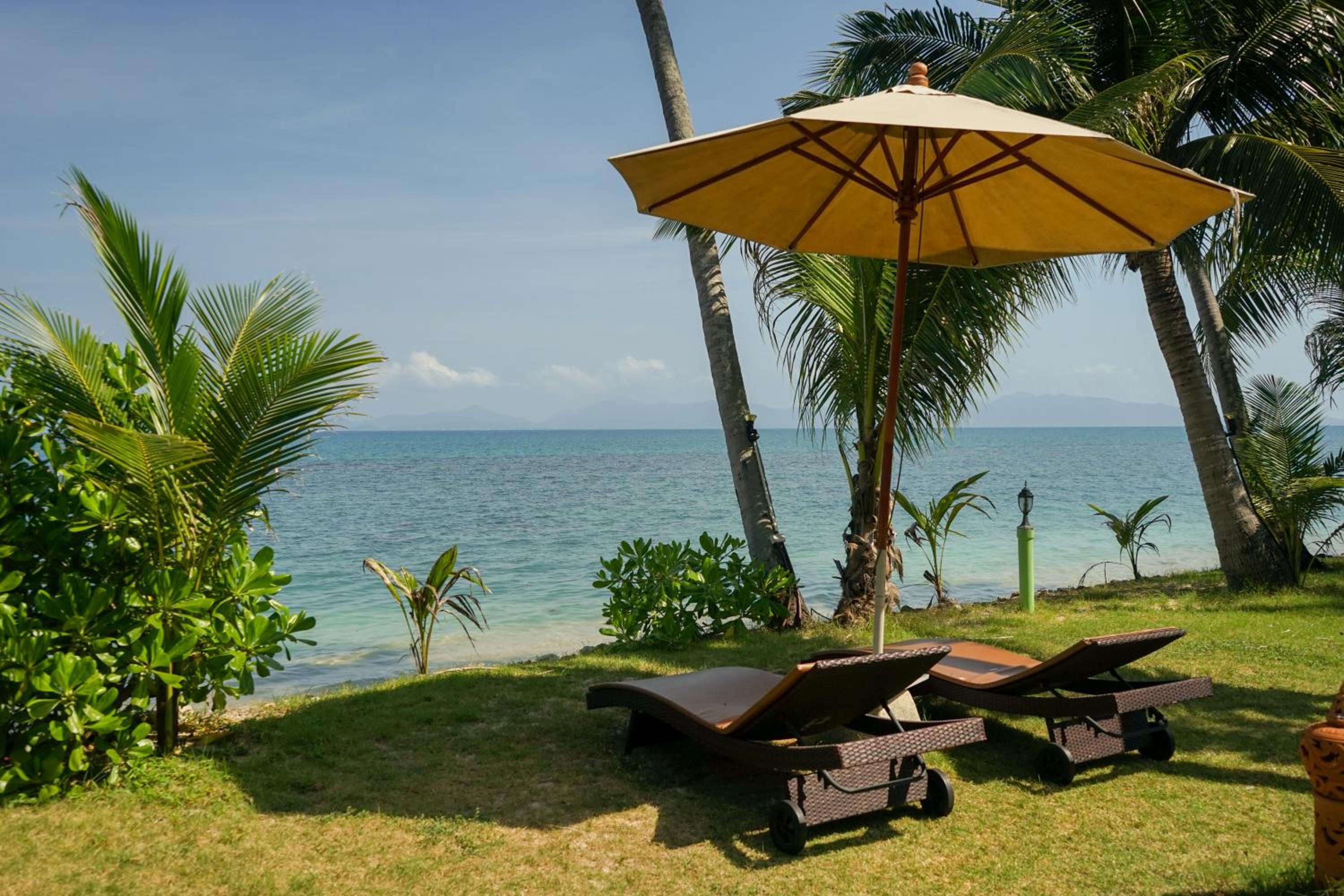 The Natives Samui