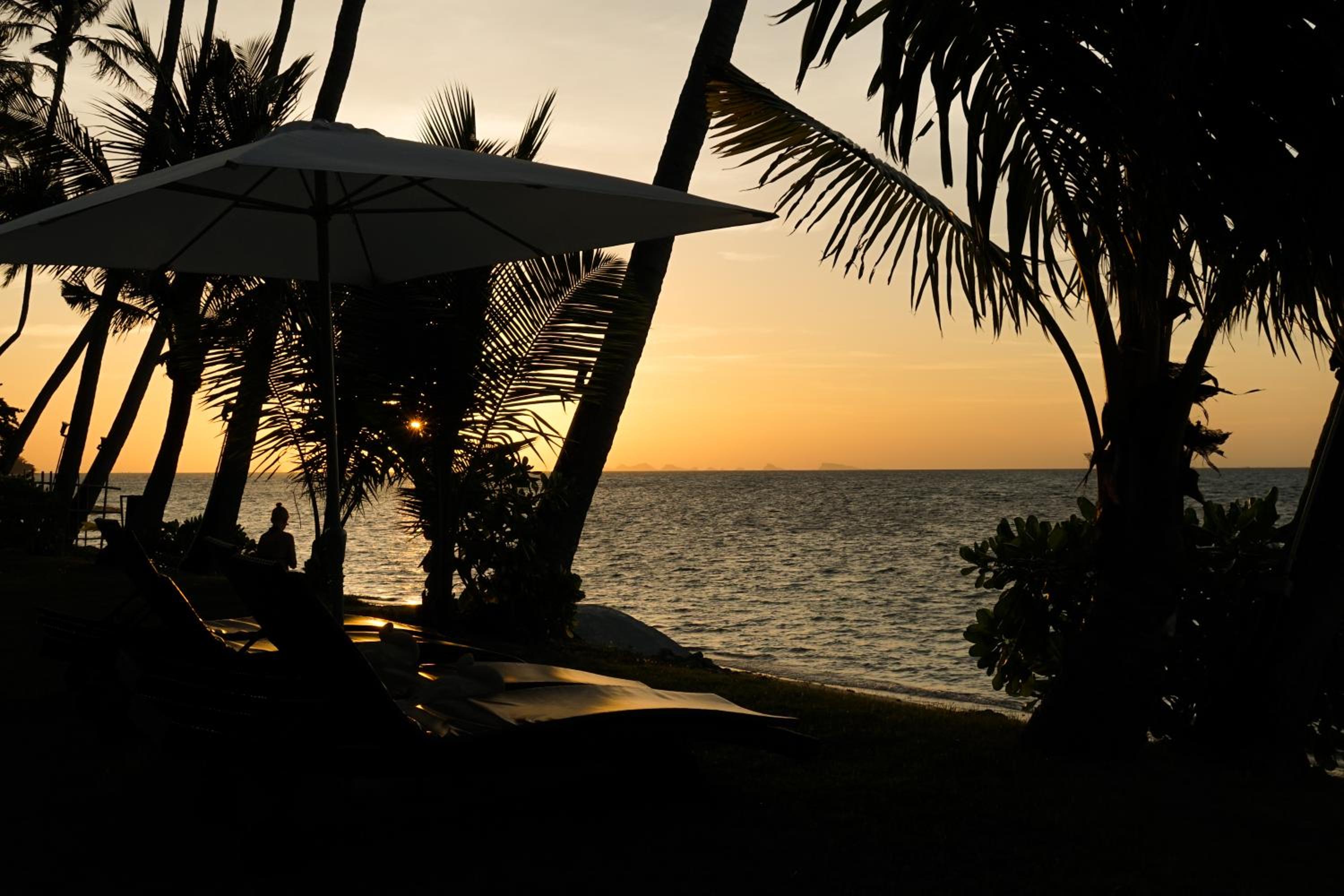The Natives Samui