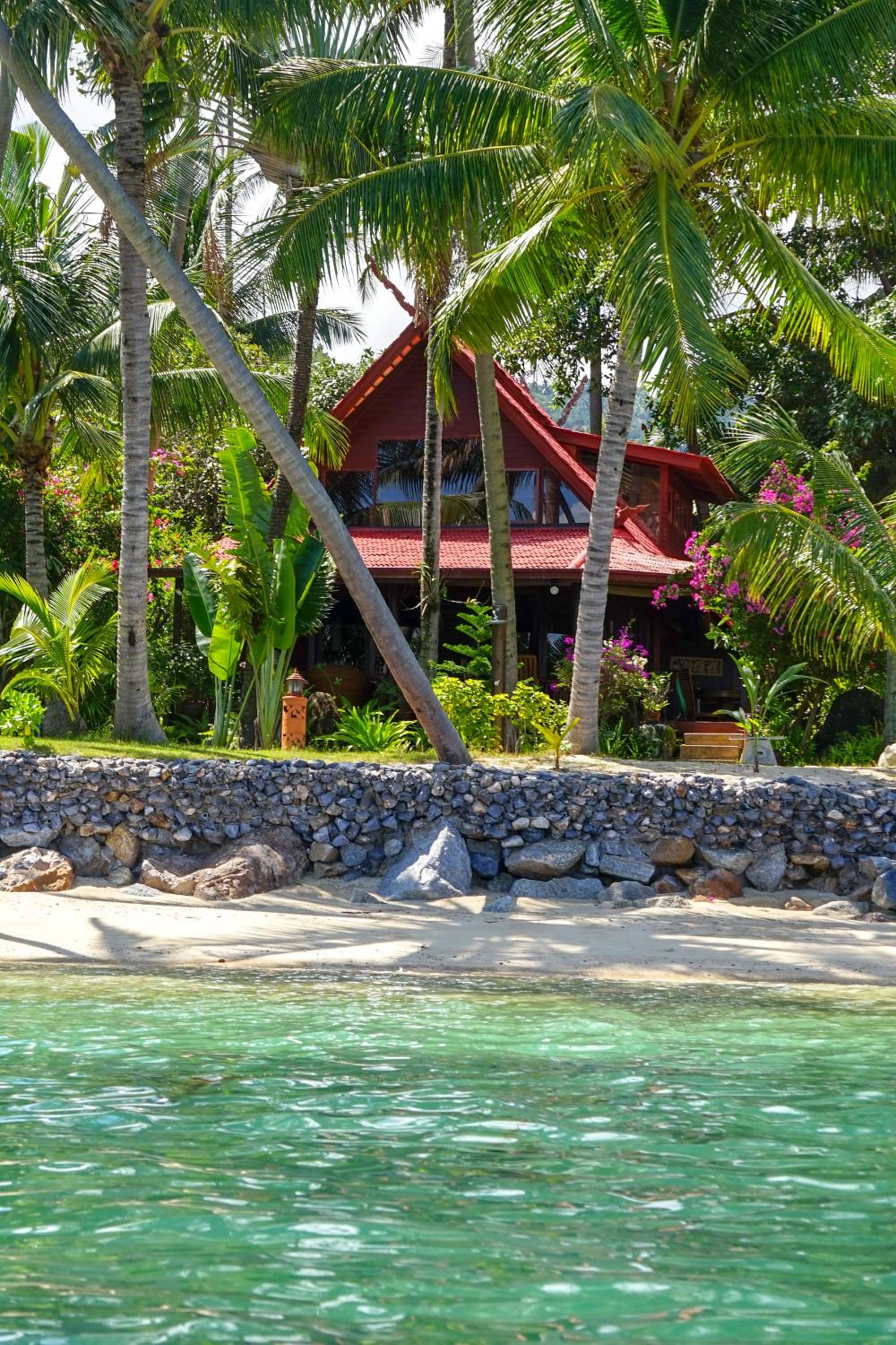 The Natives Samui