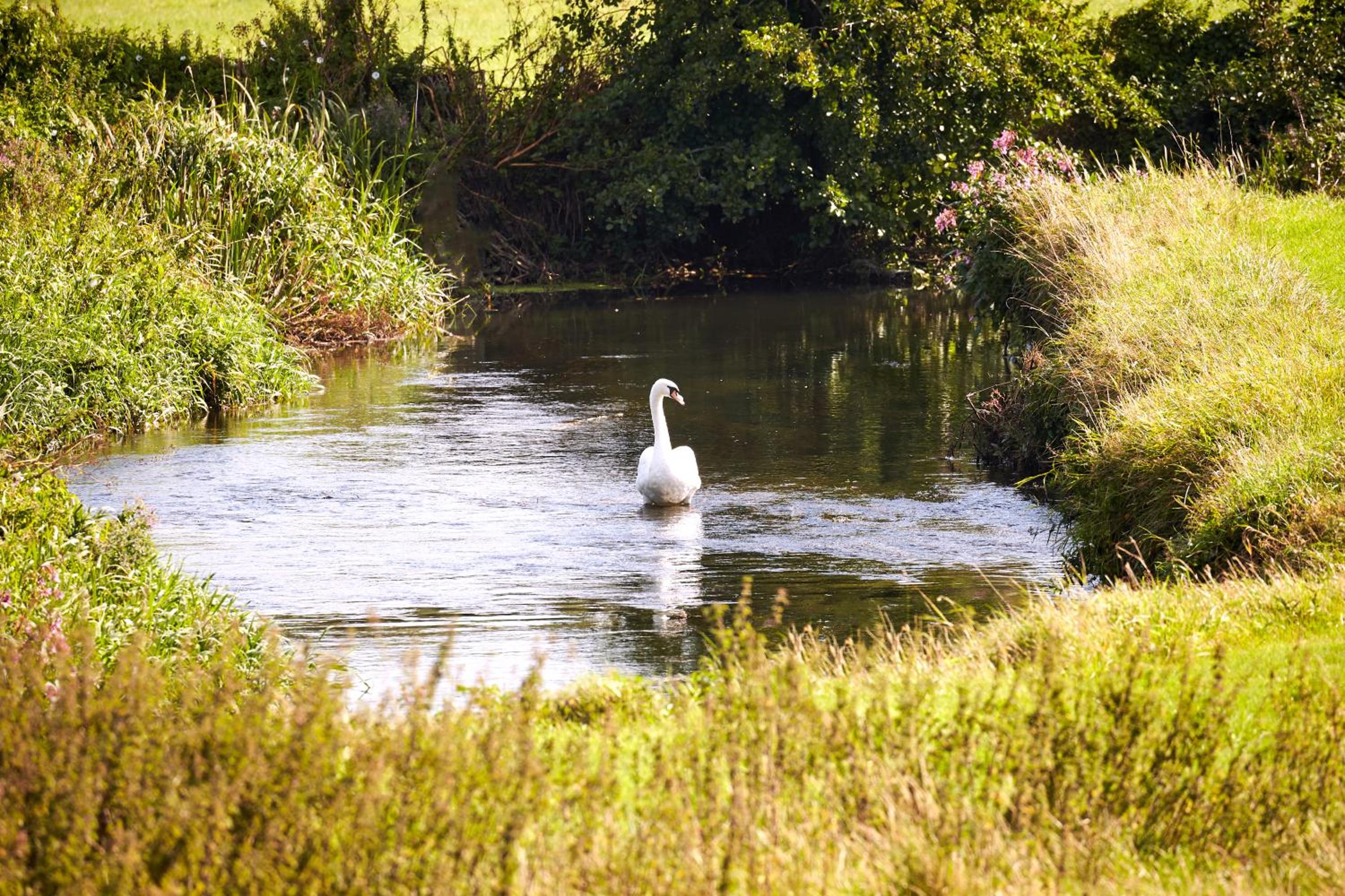 Photo 48