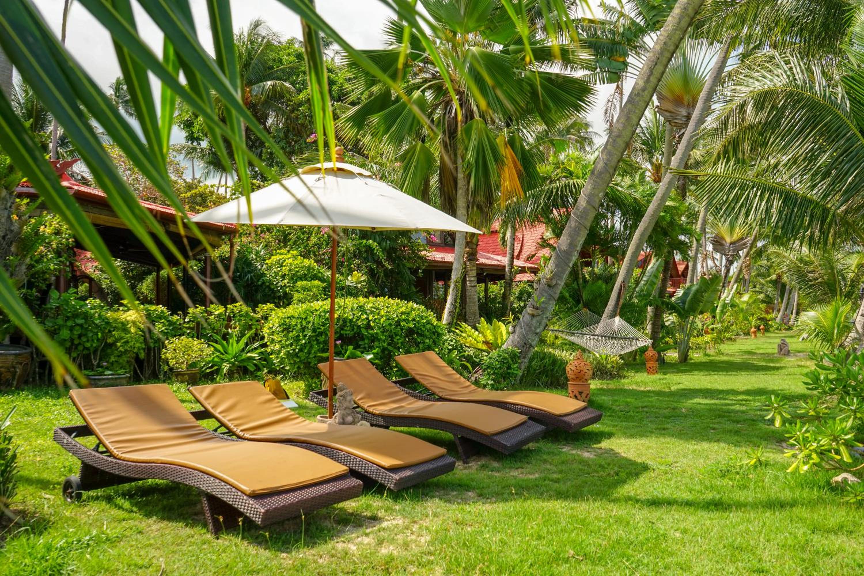 The Natives Samui