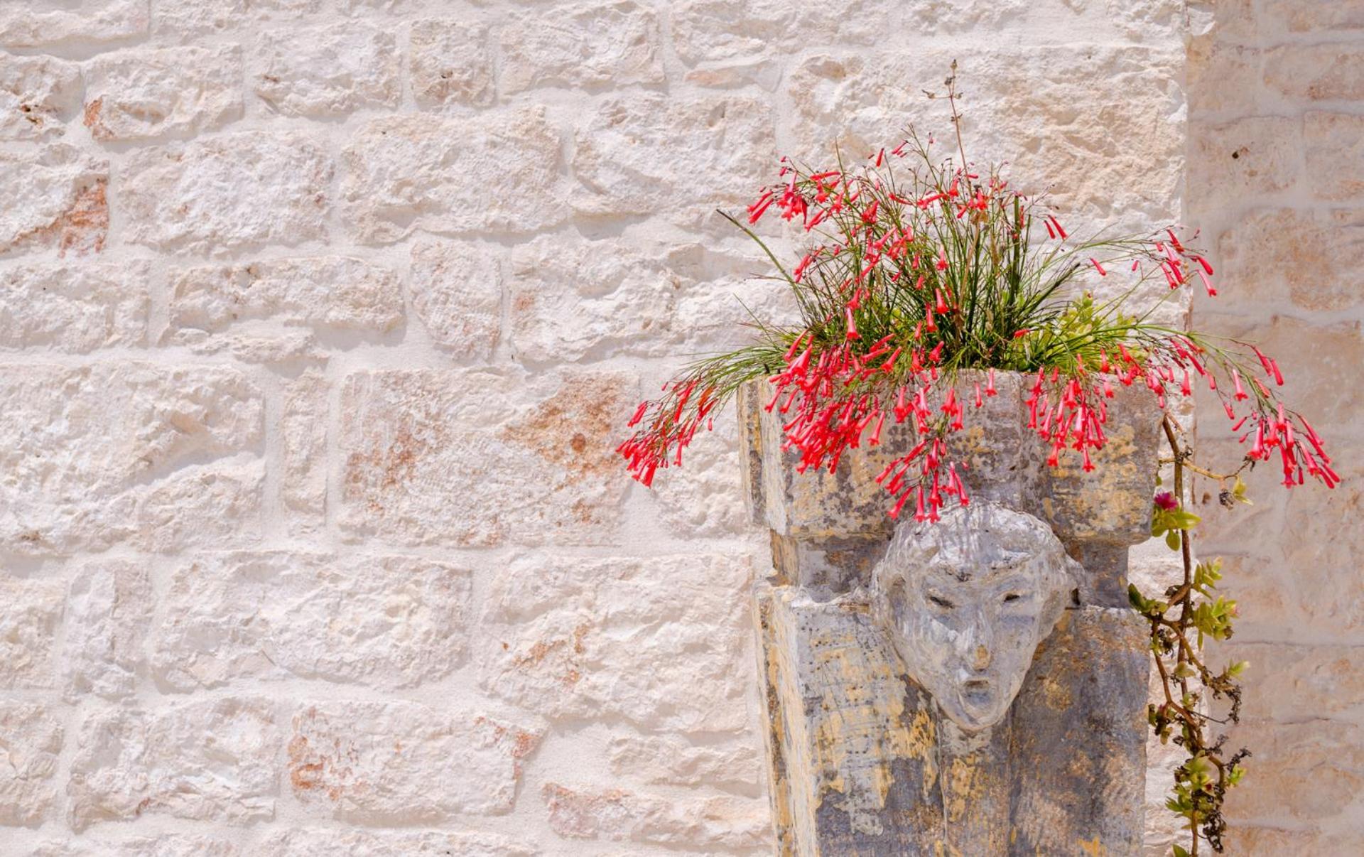 Masseria di Trulli Escape