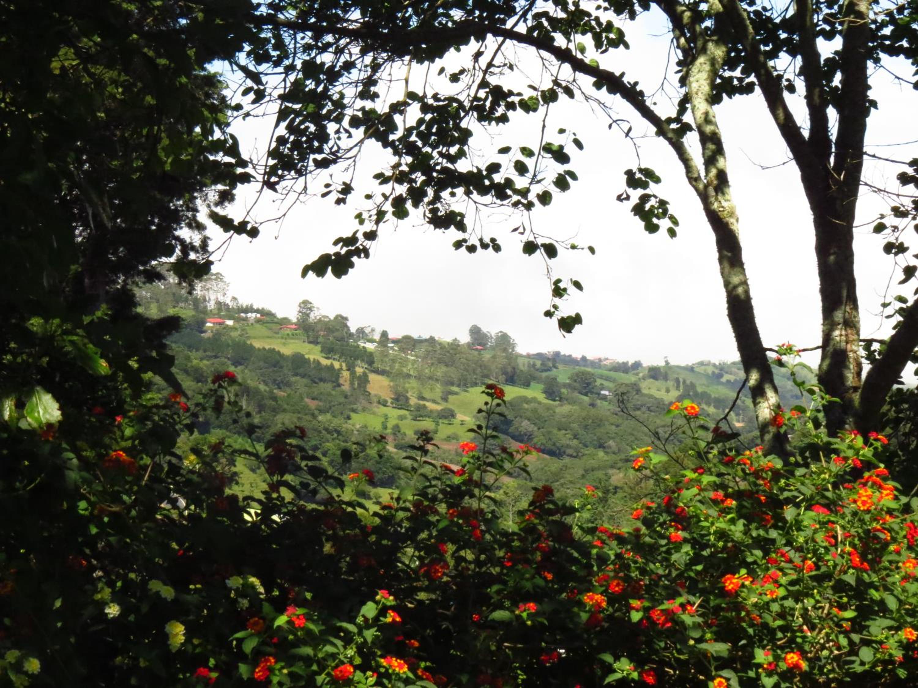 Rancho Amalia Lodge view 3