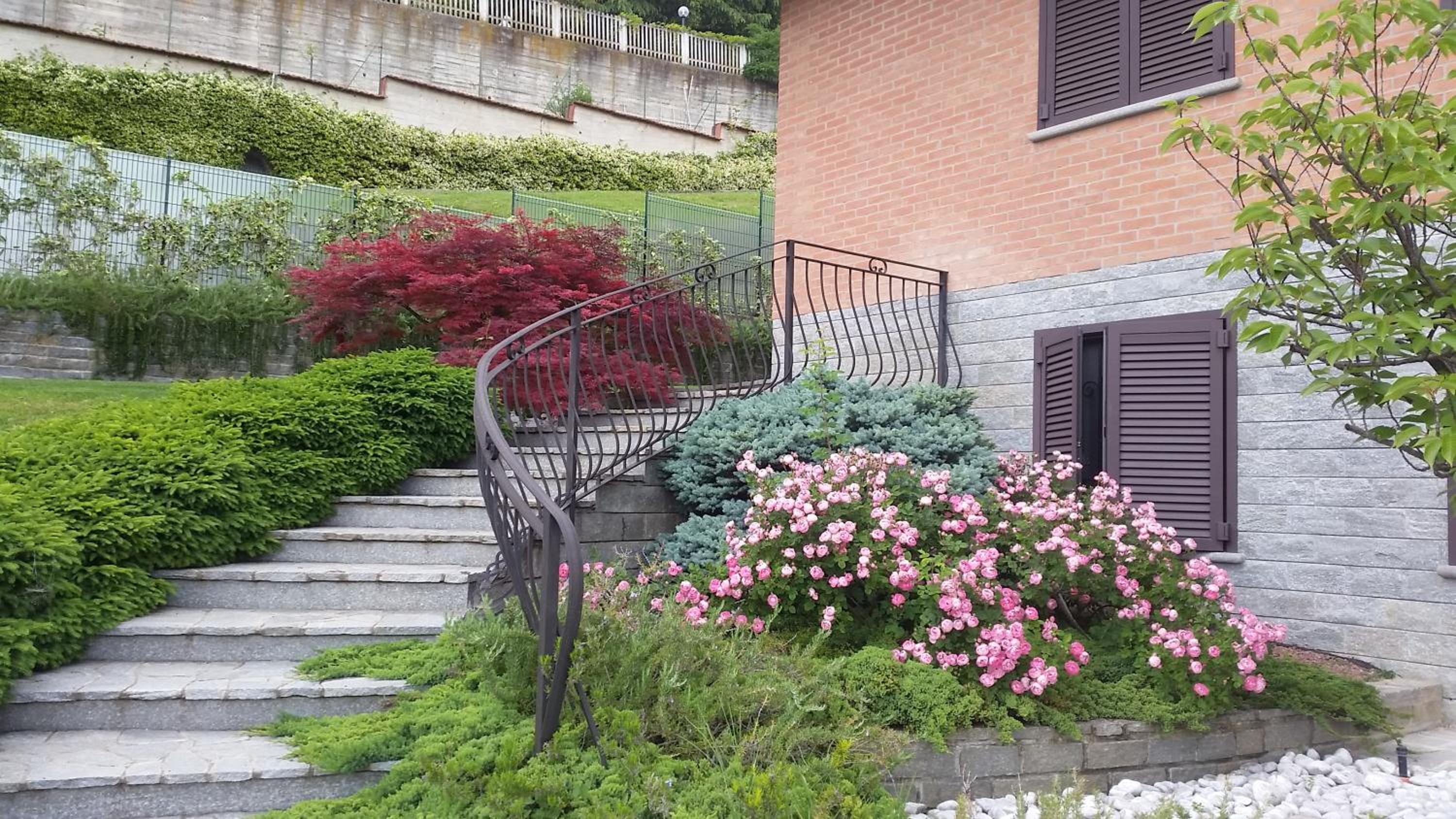 Il Quadrifoglio view 4