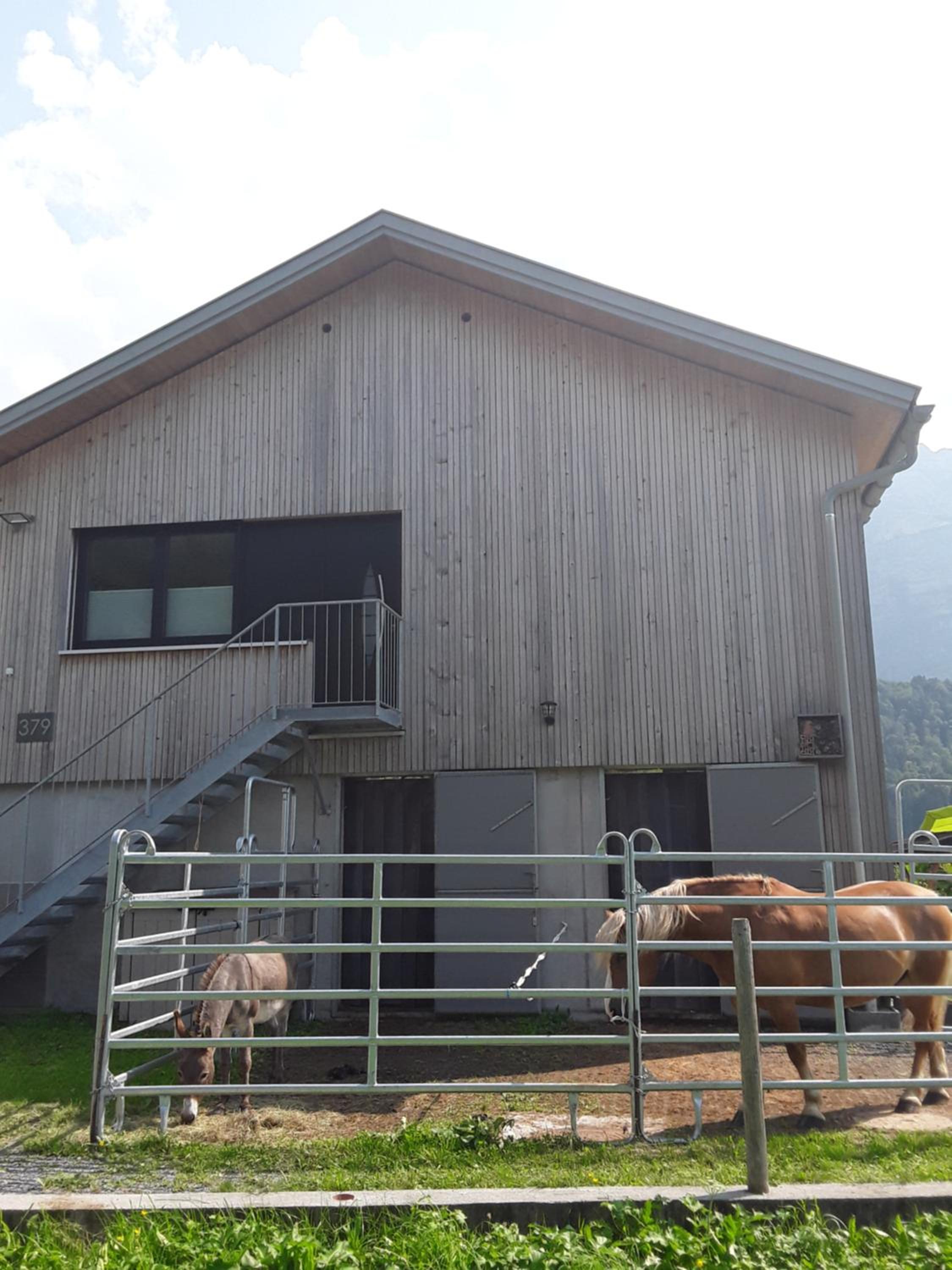Appartment Hirschberg