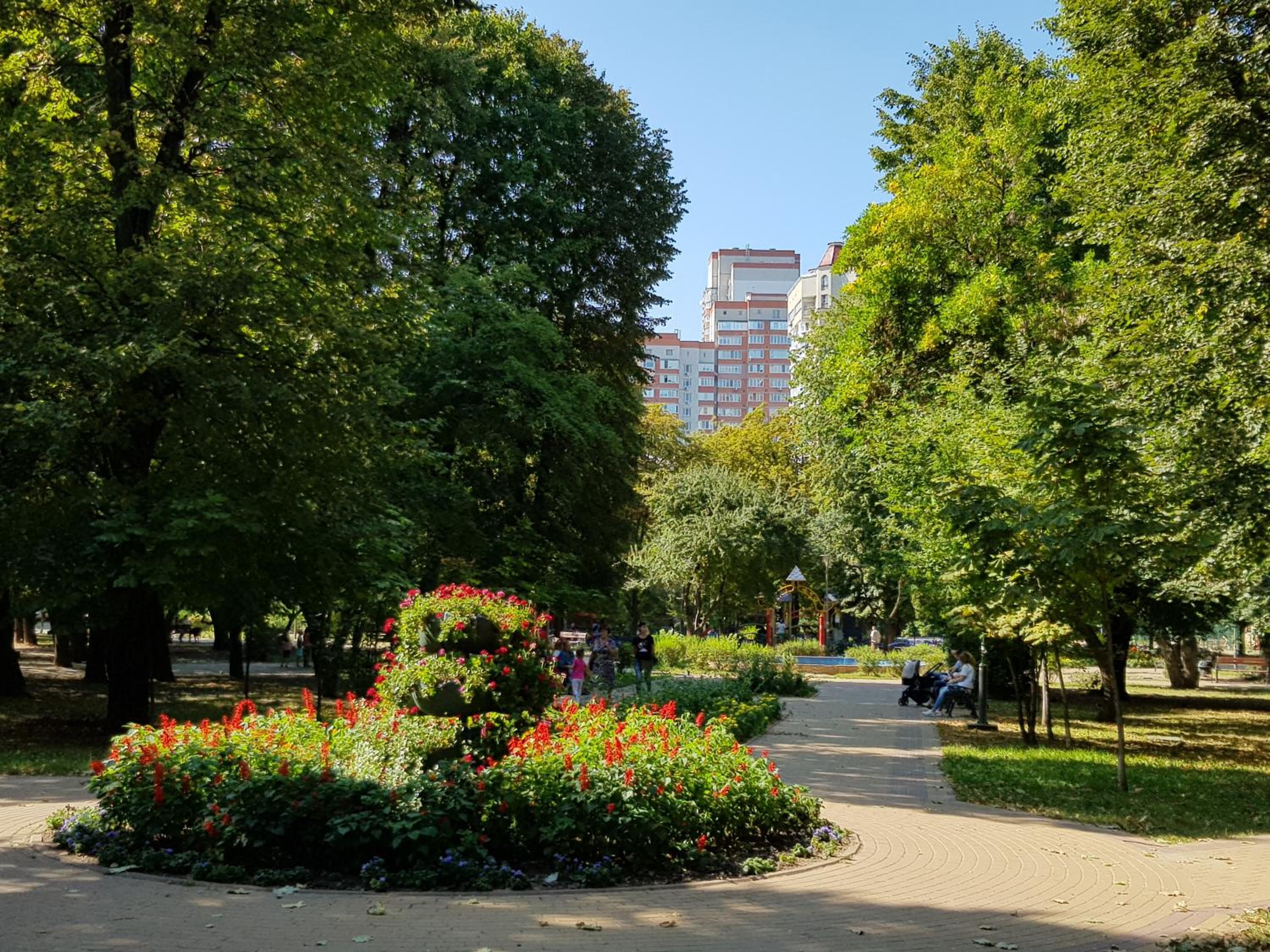 Photo 23