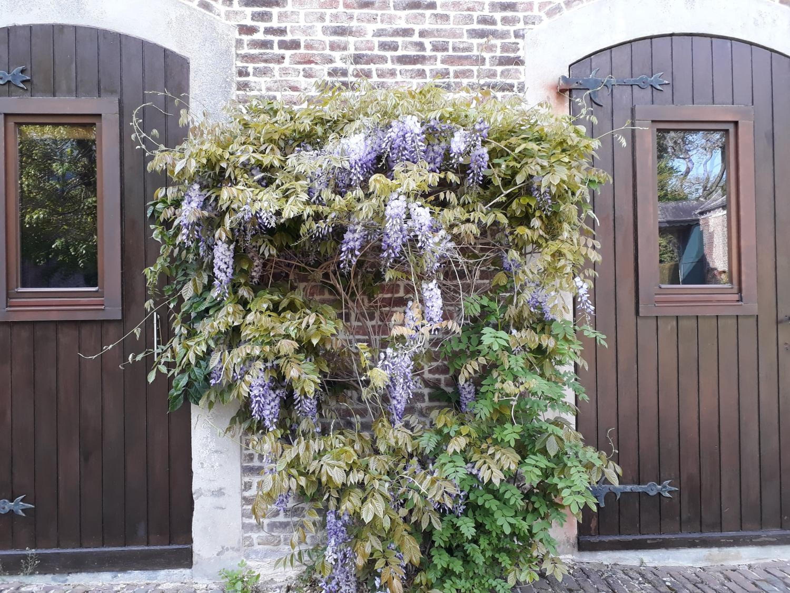 Gîte de la Ferme de Seron - gîte de charme à la campagne avec sauna