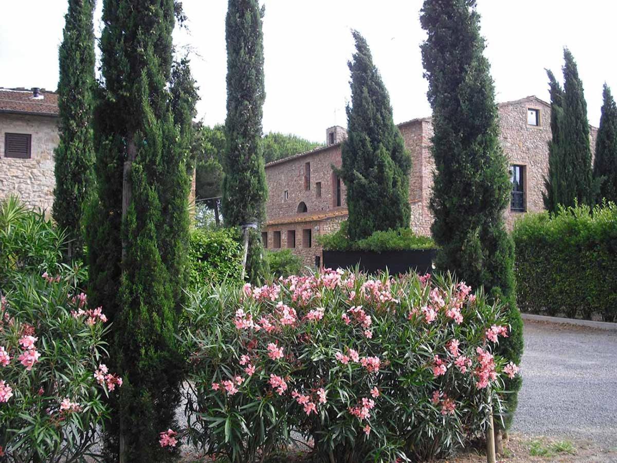 Casaleaurelia view 2